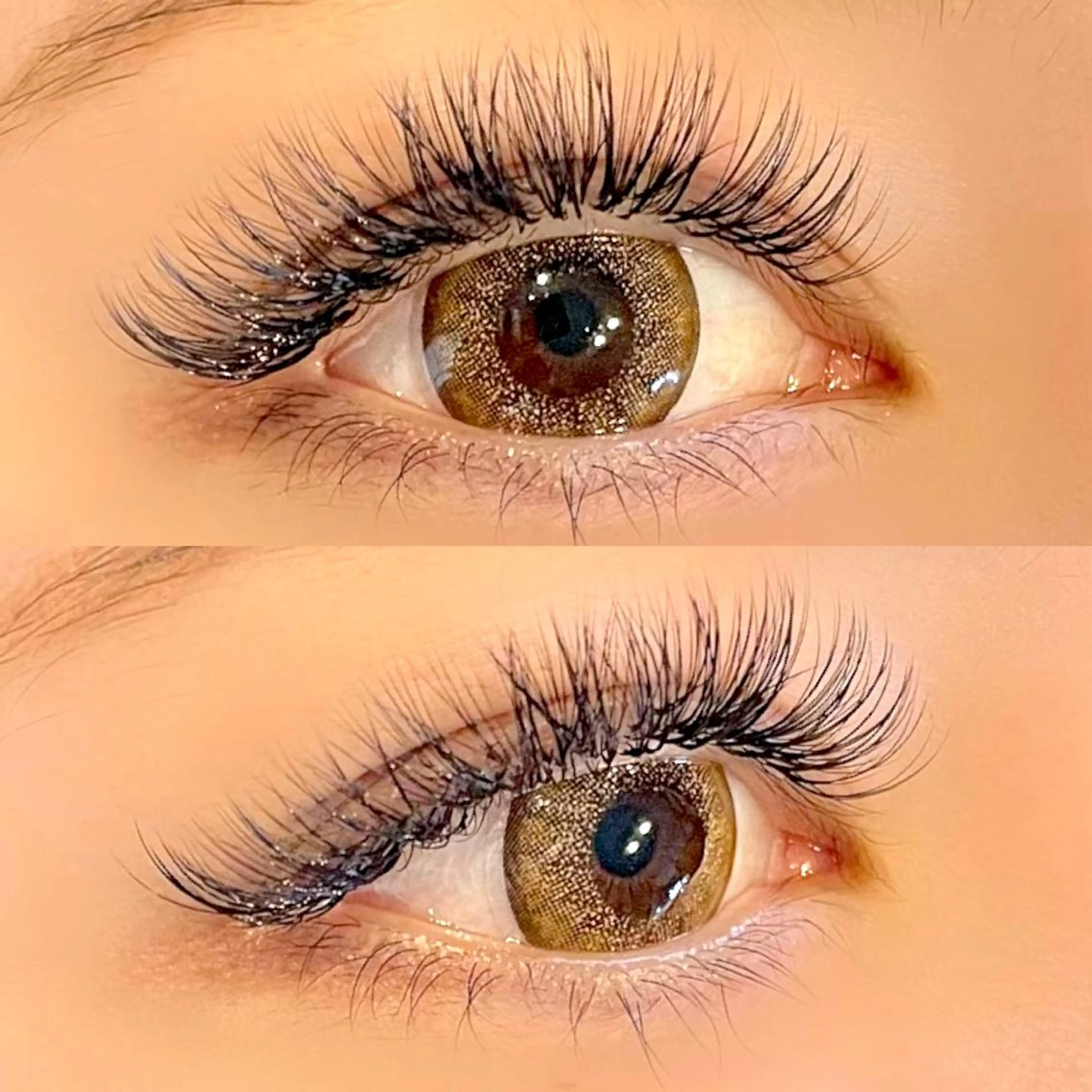 ボリュームラッシュ 【140束】🌹の写真