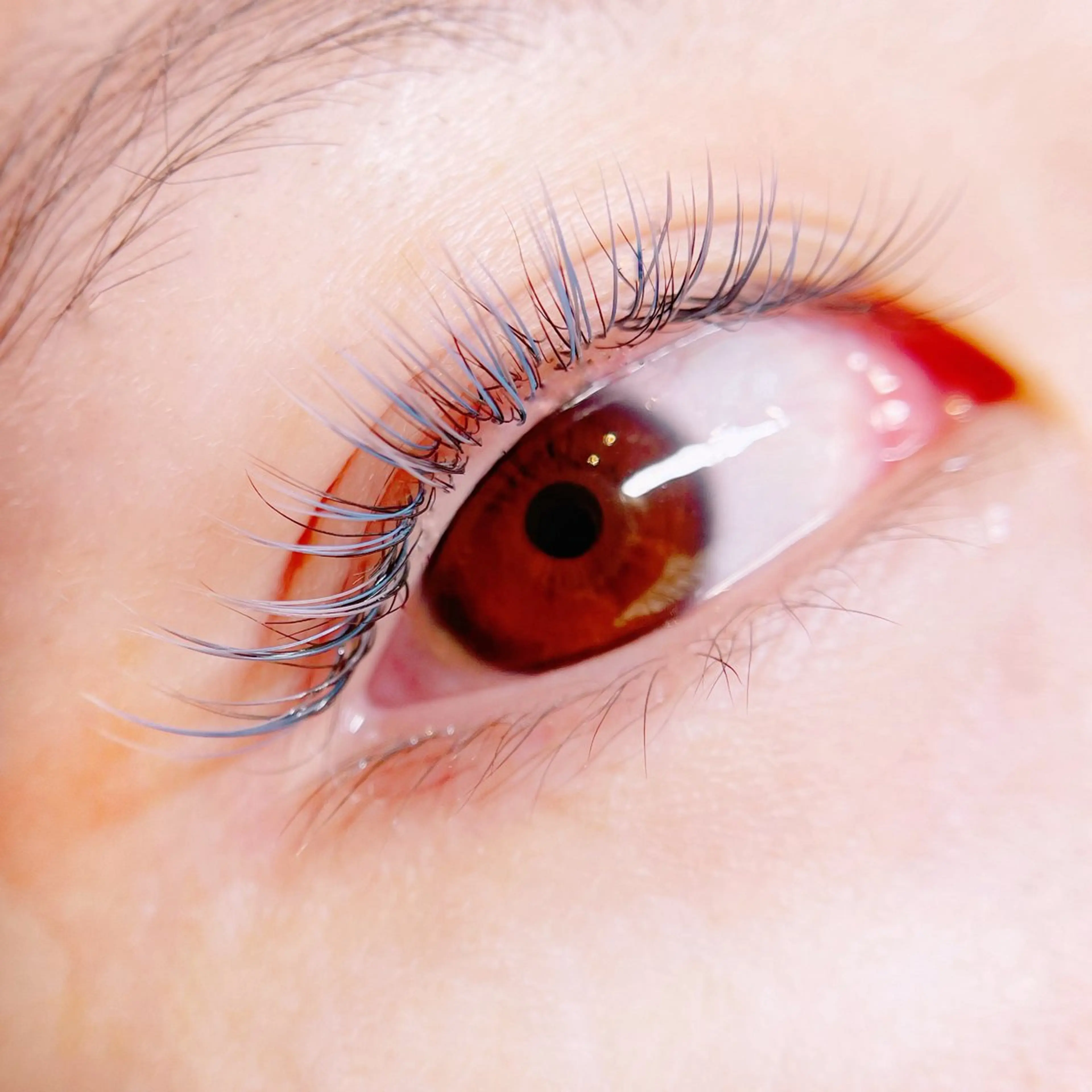 マツエク・マツパ マツエク cinq　naomi .のその他イメージ