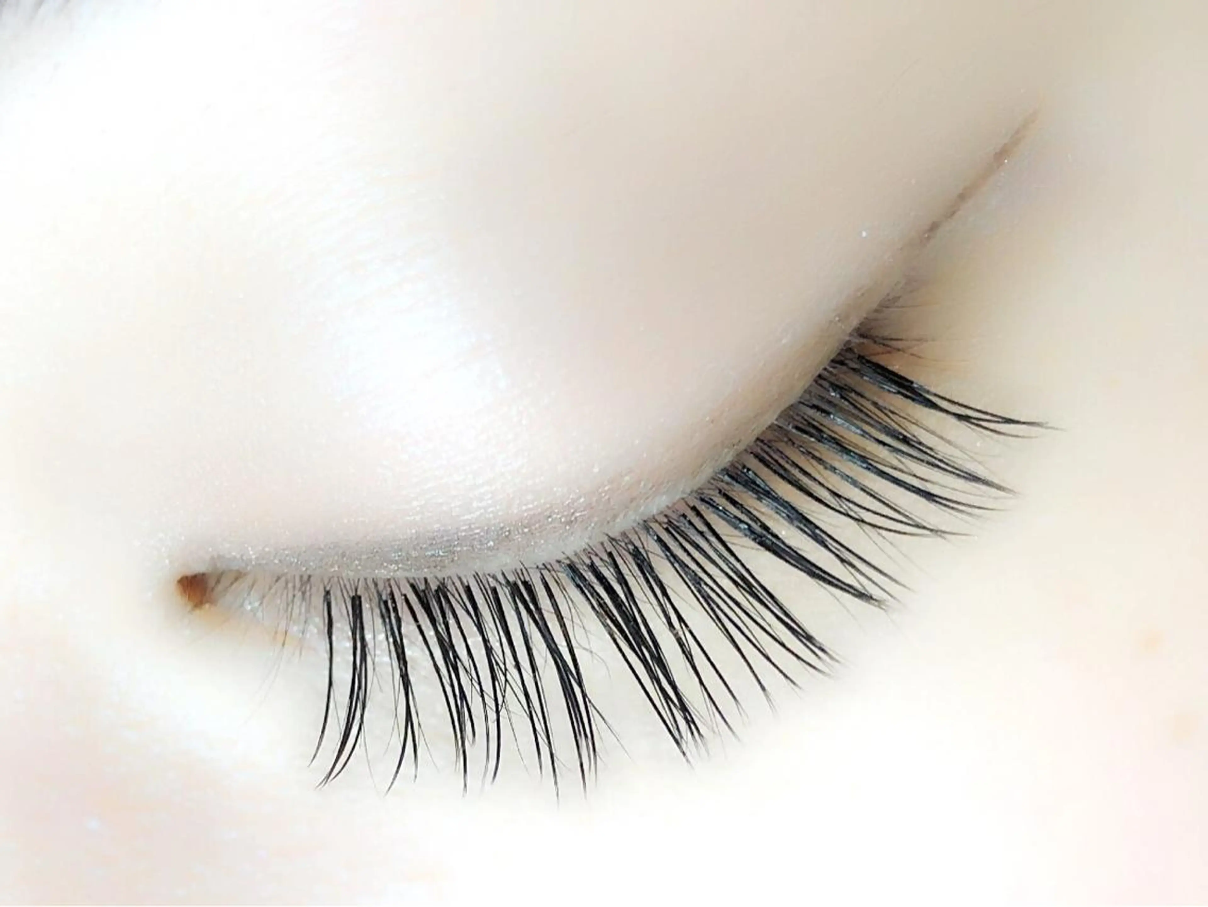 オフ込みセーブル120本6000円♡の写真