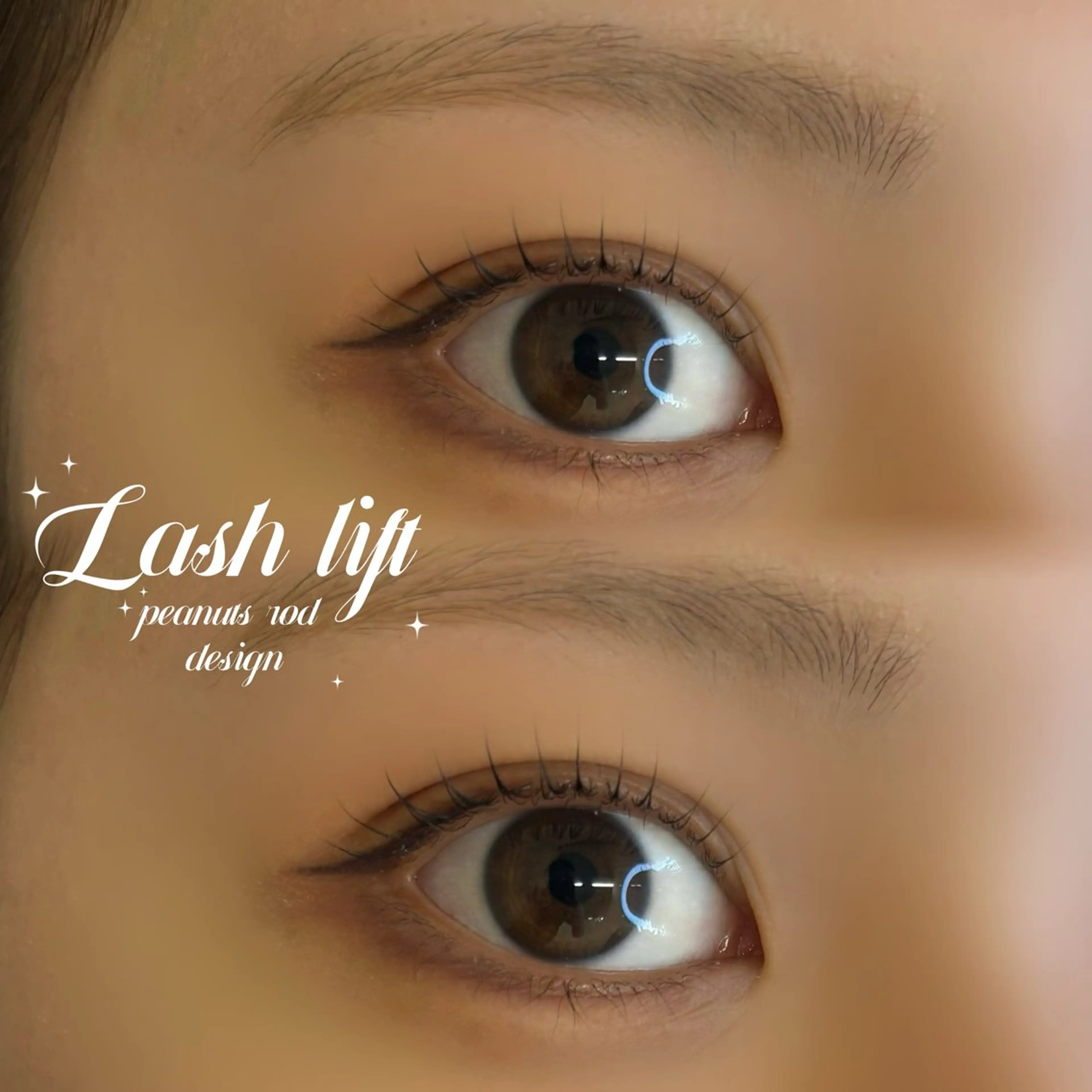 【24日限定✨モデル価格💕】ラッシュリフトorパリジェンヌの写真