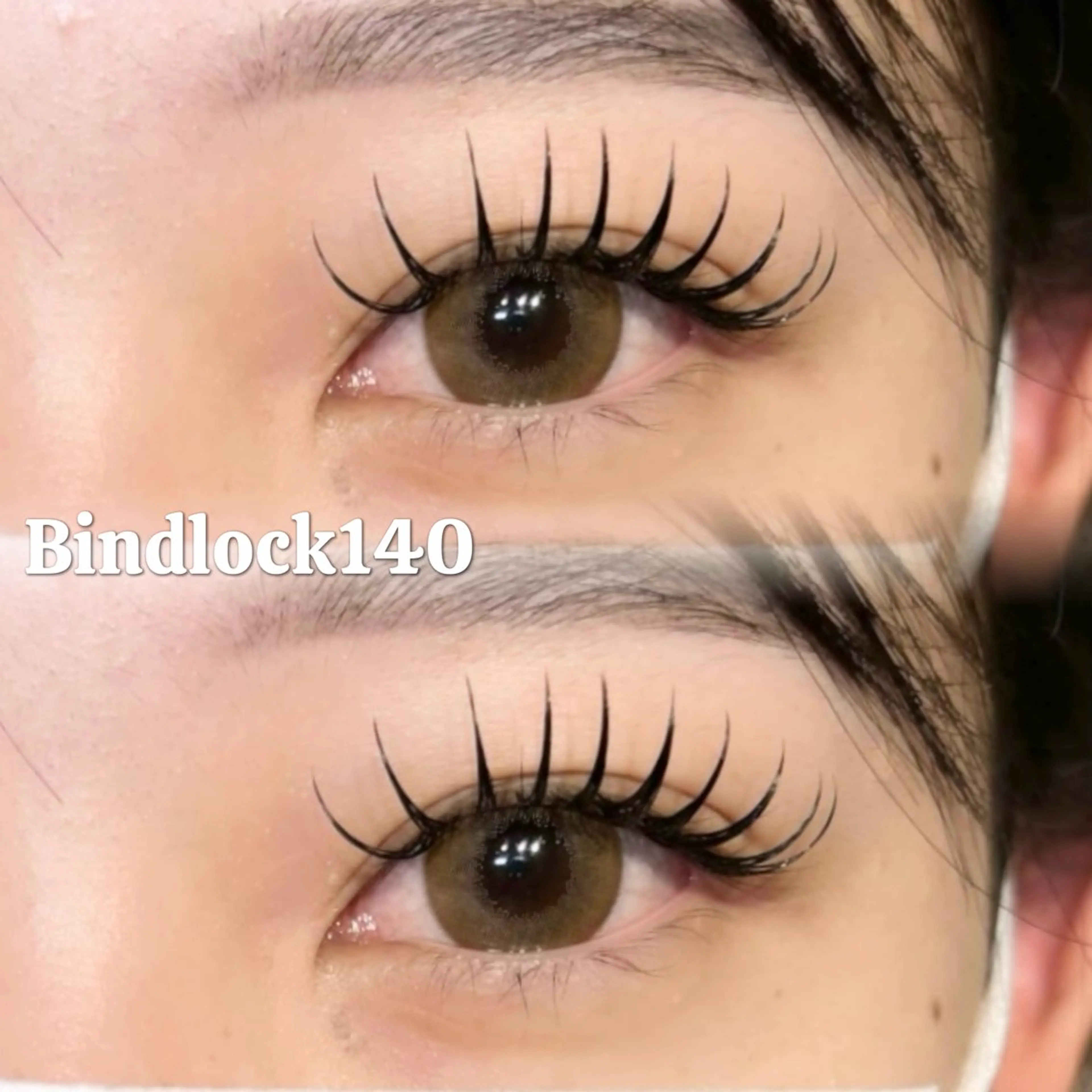 バインドロック140束の写真