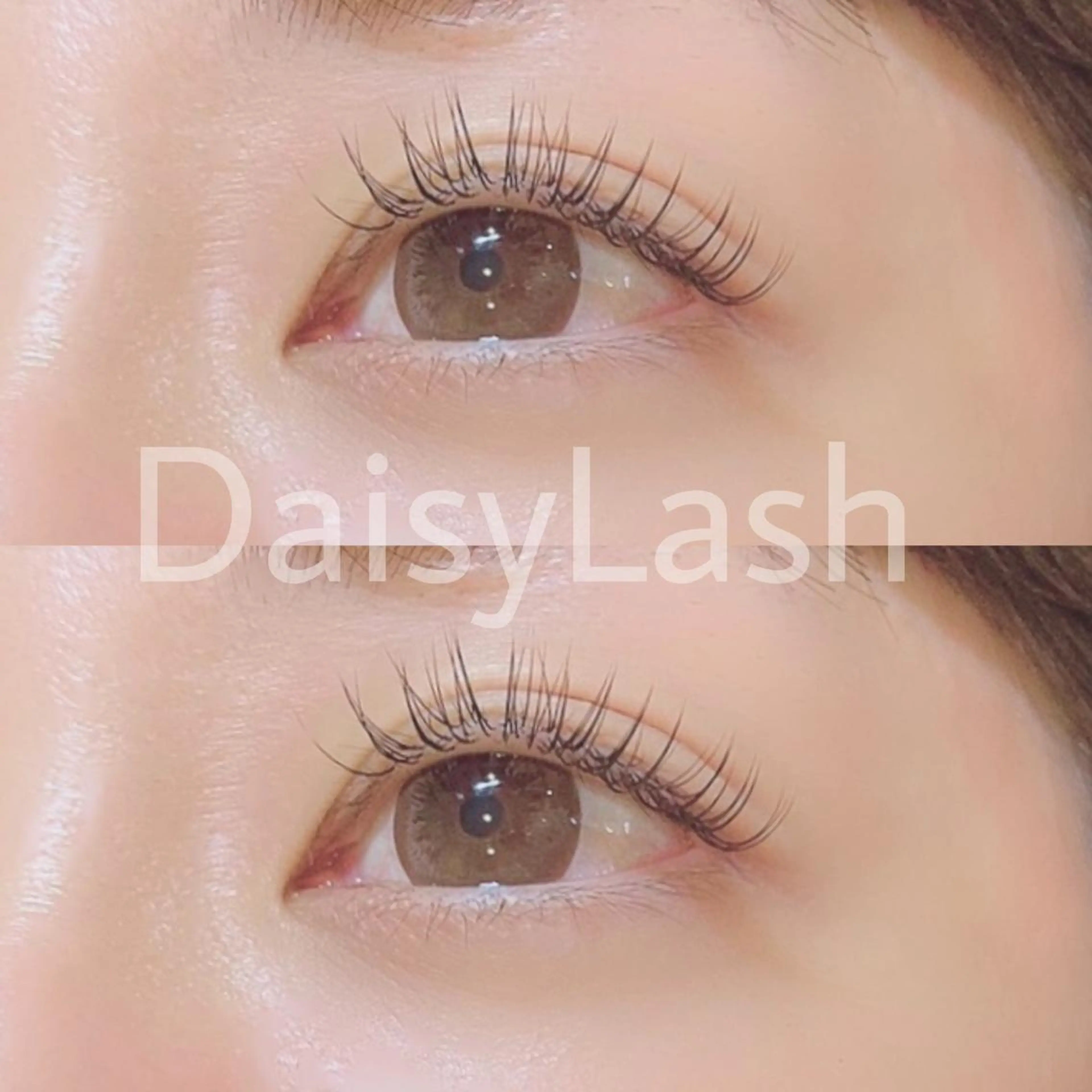 マツエク・マツパ DaisyLash 京橋店のマツエク・マツパデザイン