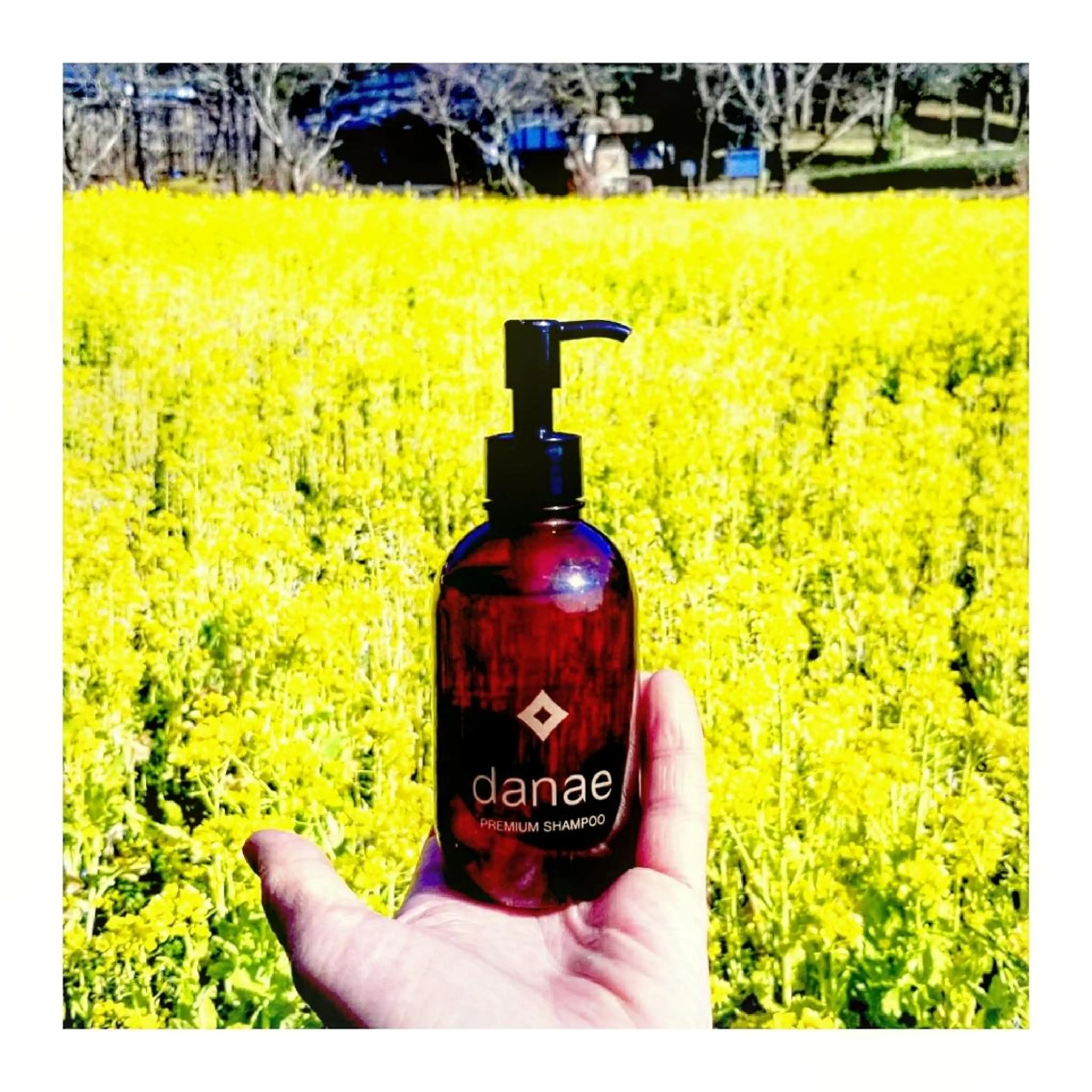 セミロング カラー ブルーカラー 髪質改善 トリートメント ヘアカラー 髪の病院  ルーミールームのヘアスタイル