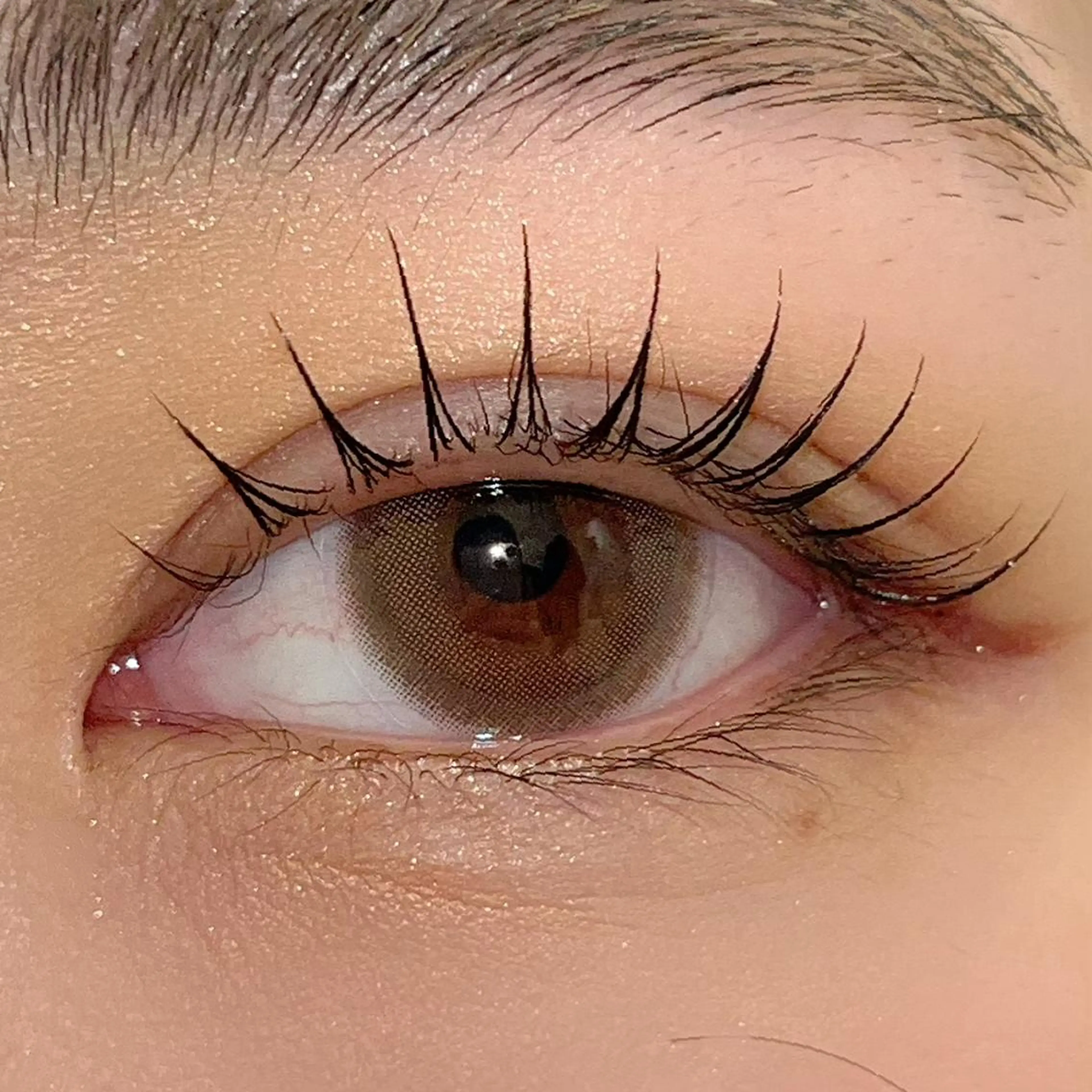 マツエク・マツパ まつげパーマ ai一重専門🎀束感 まつげ🫧表参道のマツエク・マツパデザイン