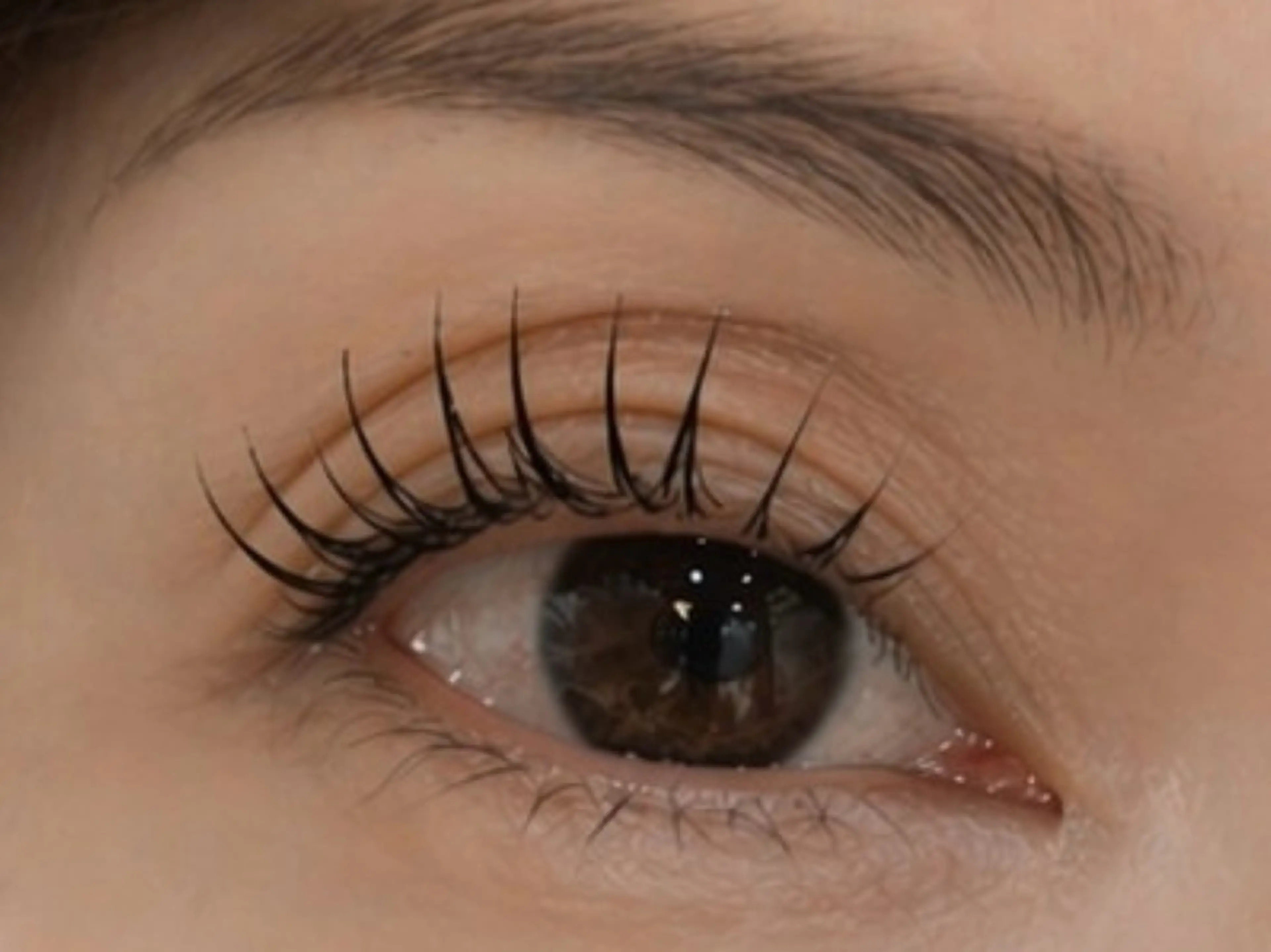 マツエク・マツパ マツエク Max eyelash池袋のマツエク・マツパデザイン