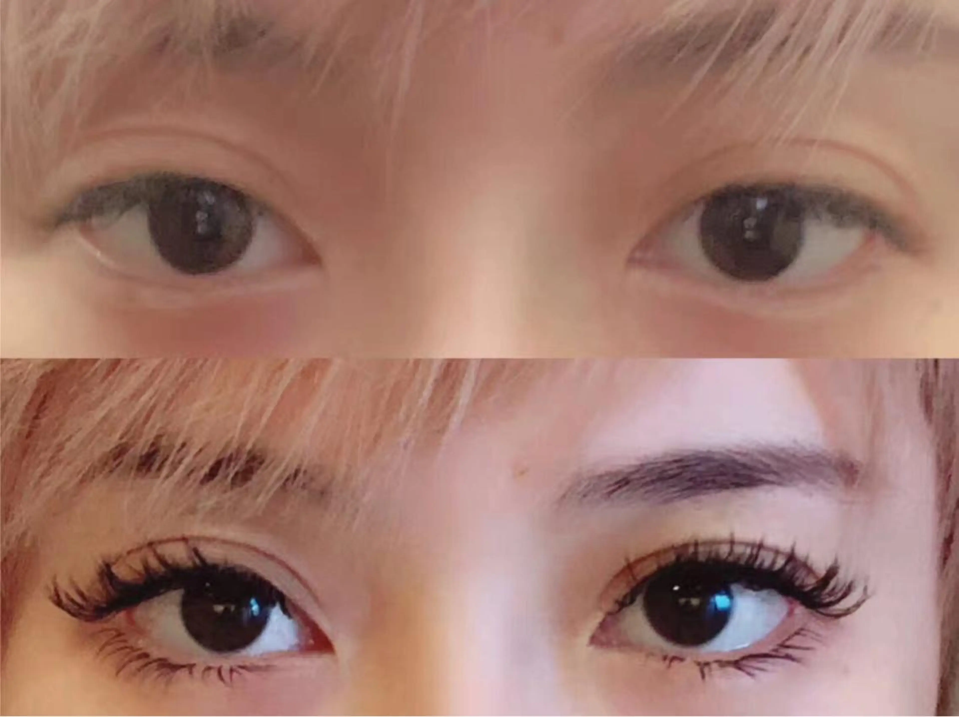 【新規】人気No1❣️オイルクレンジングok❣️♪3Dボリュームラッシュ付け放題1000本まで ¥6980の写真