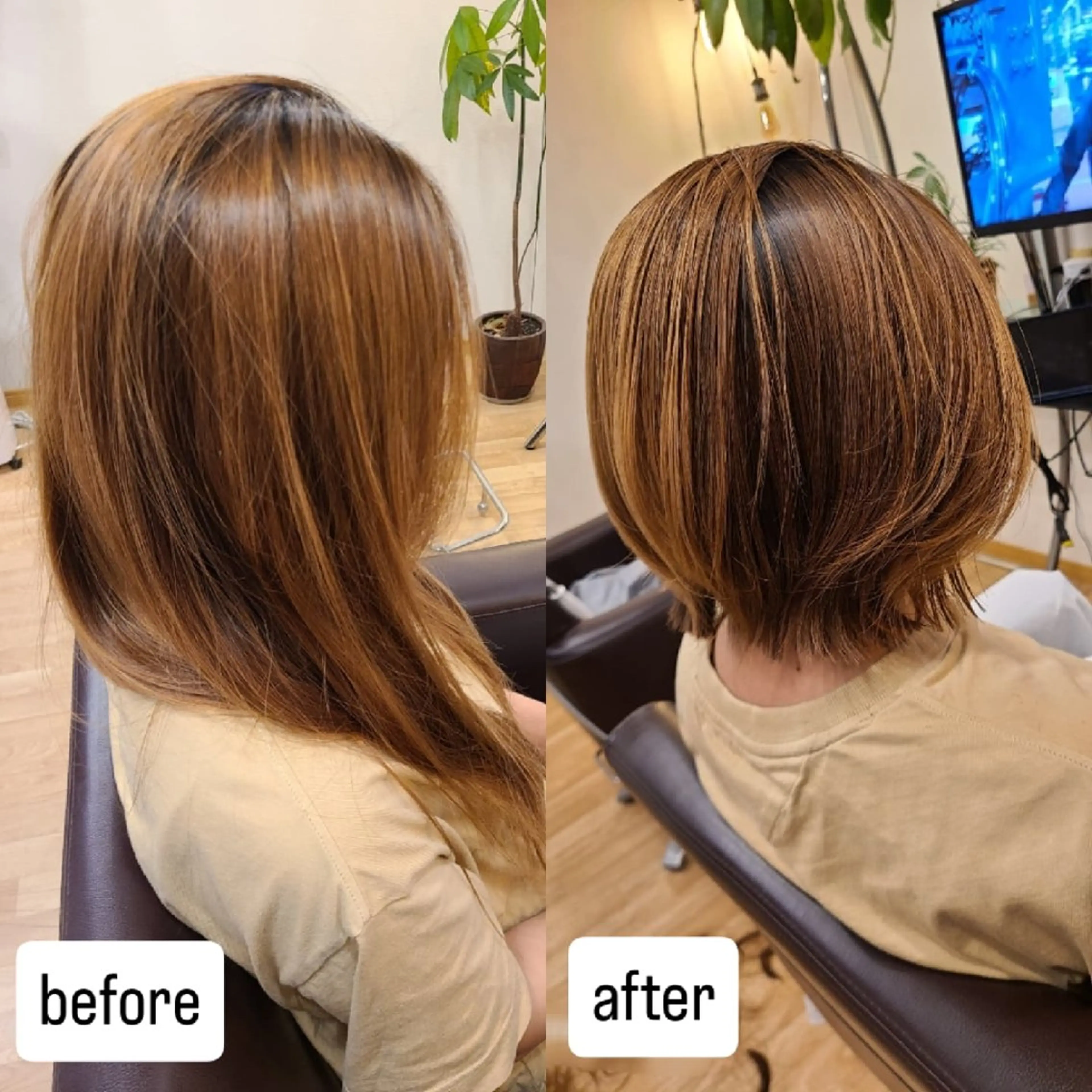 ミディアム シ マのヘアスタイル