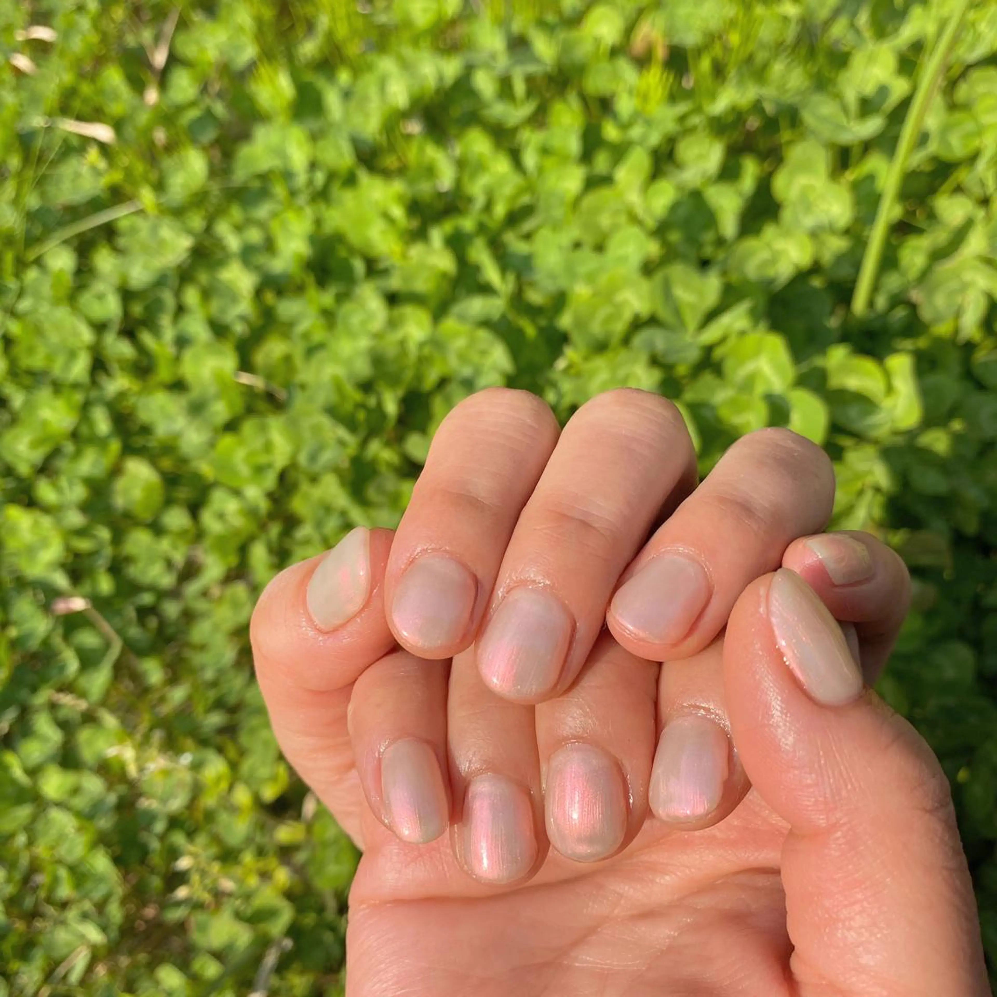 ネイル ワンカラーネイル Heho nailのネイルデザイン