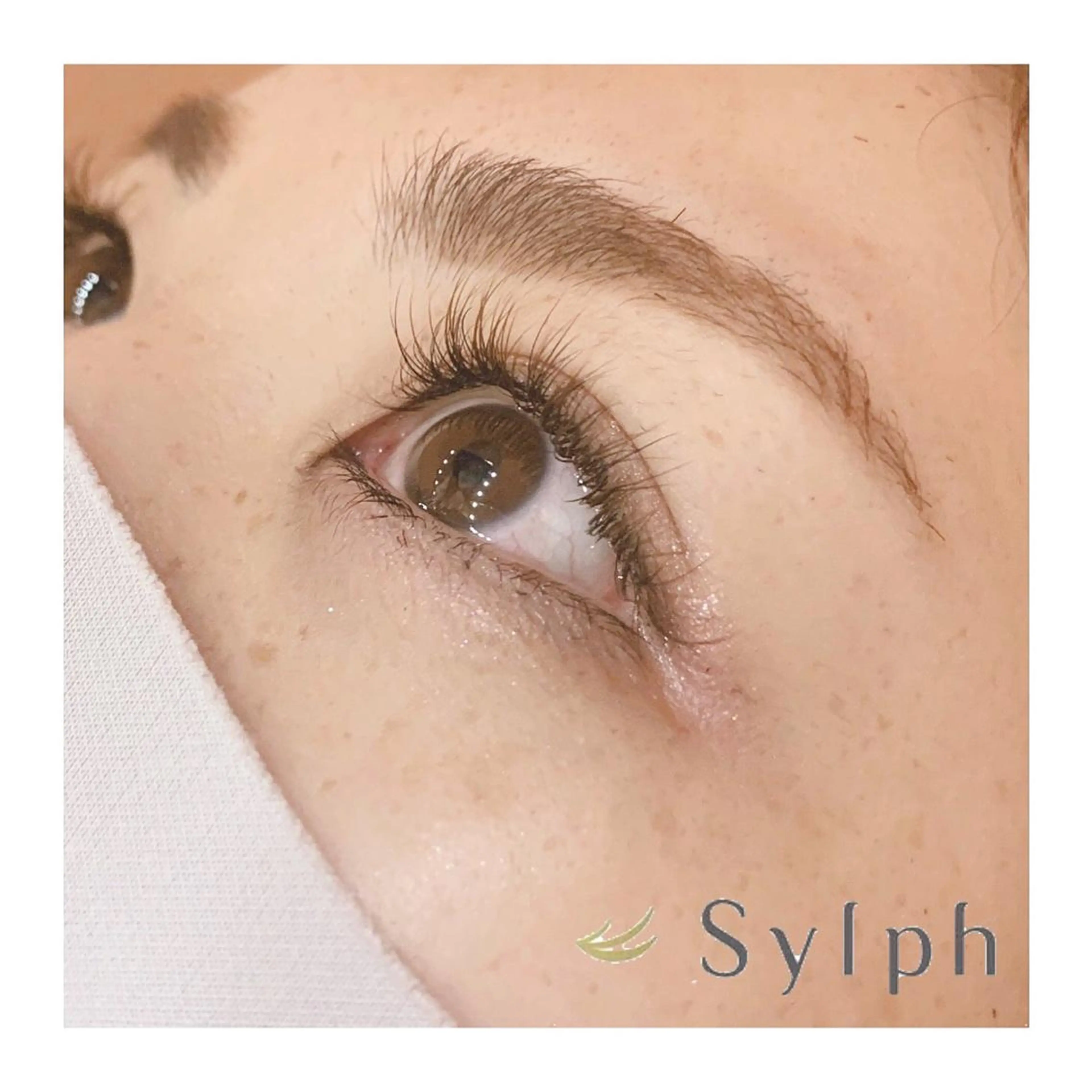 マツエク・マツパ マツエク 銀座/レイヤー 🌷nonoka🌷のヘアスタイル