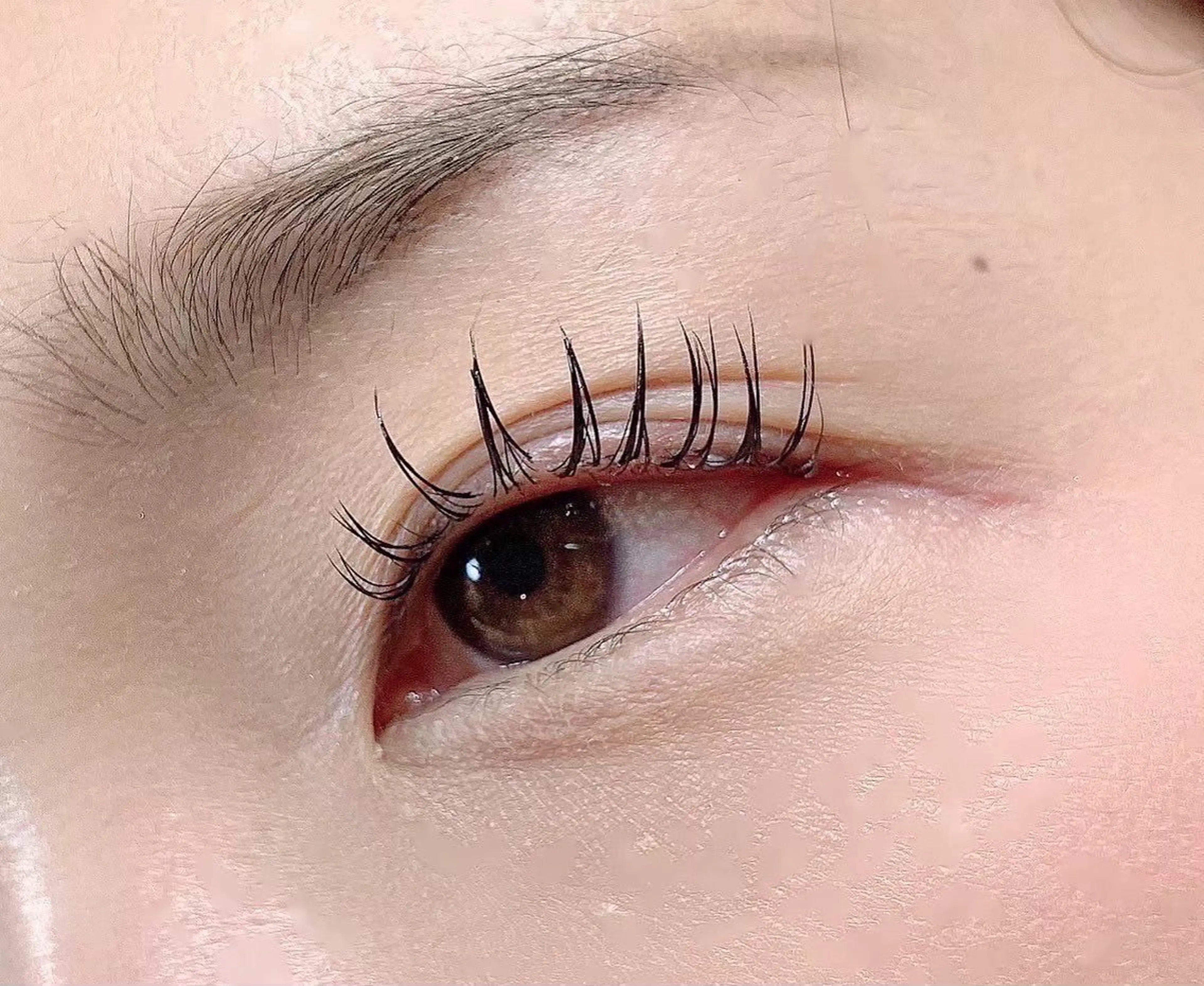 エクステ×まつげパーマ✨プレッツェルラッシュ40束🩷リクエストしてからご予約くださいの写真