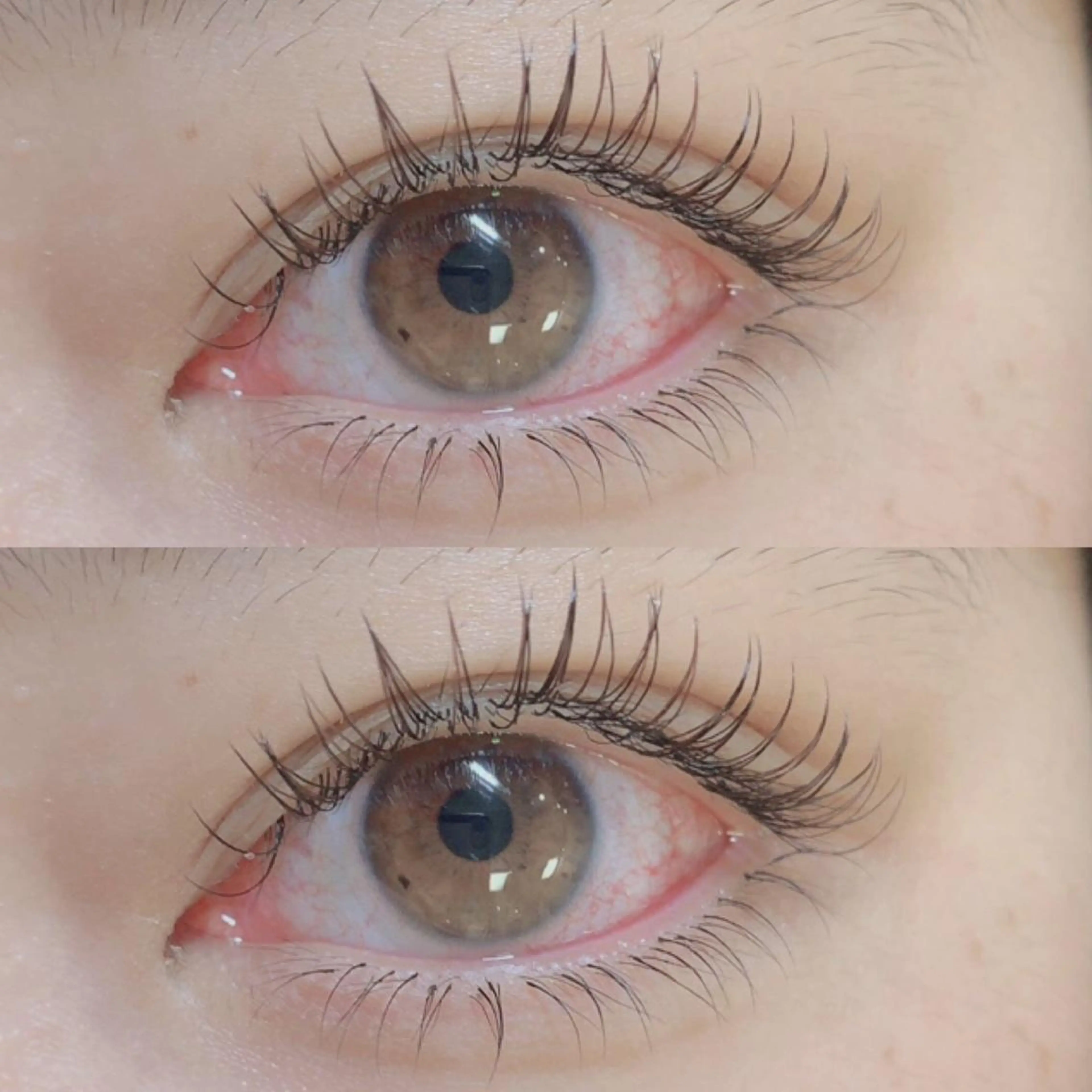 下まつげエクステ🏹時間内つけ放題の写真