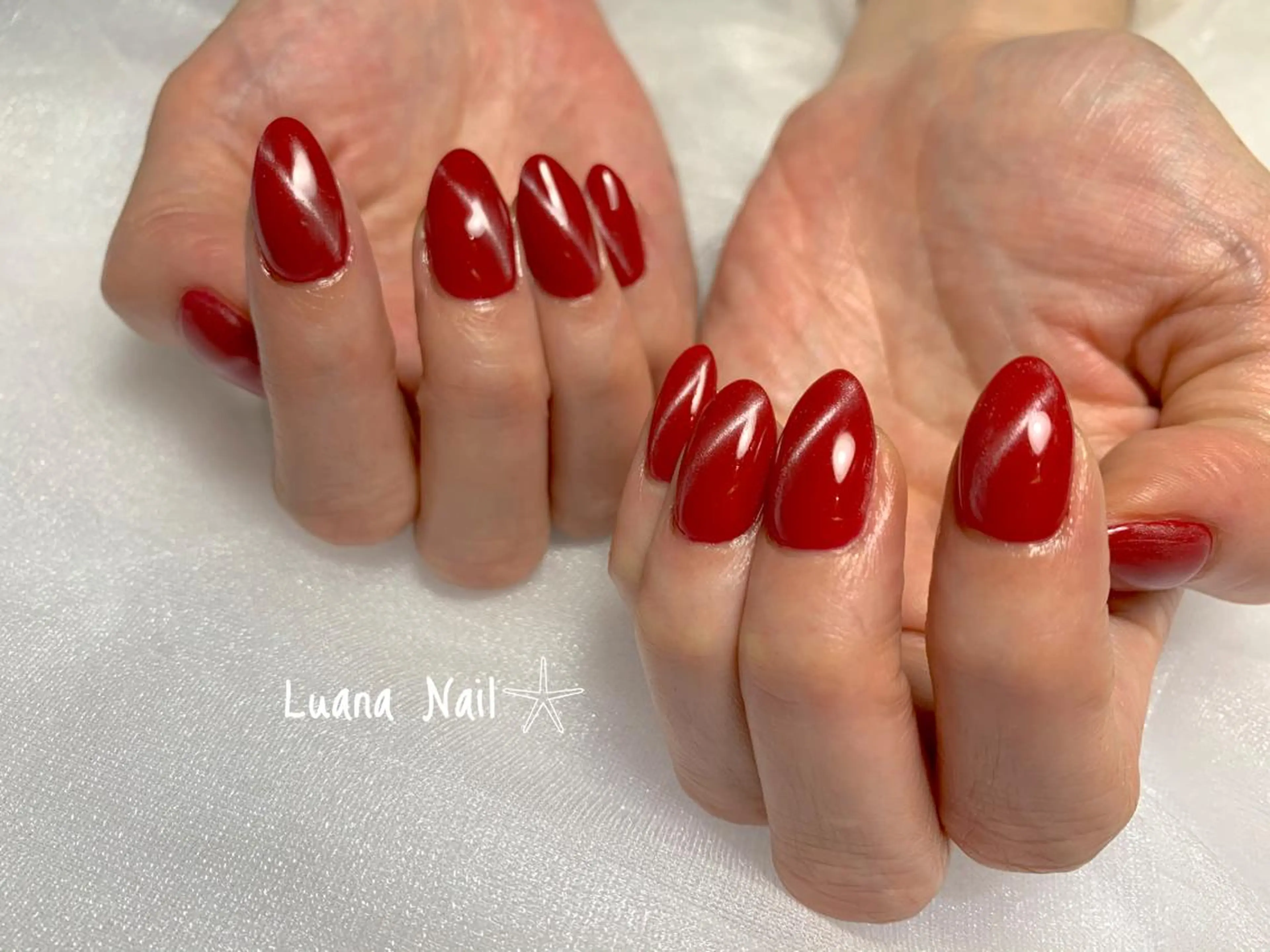 ネイル マグネットネイル ハンドネイル BeauJu by Luana Nail所属・BeauJu by Luana Nailのネイルデザイン