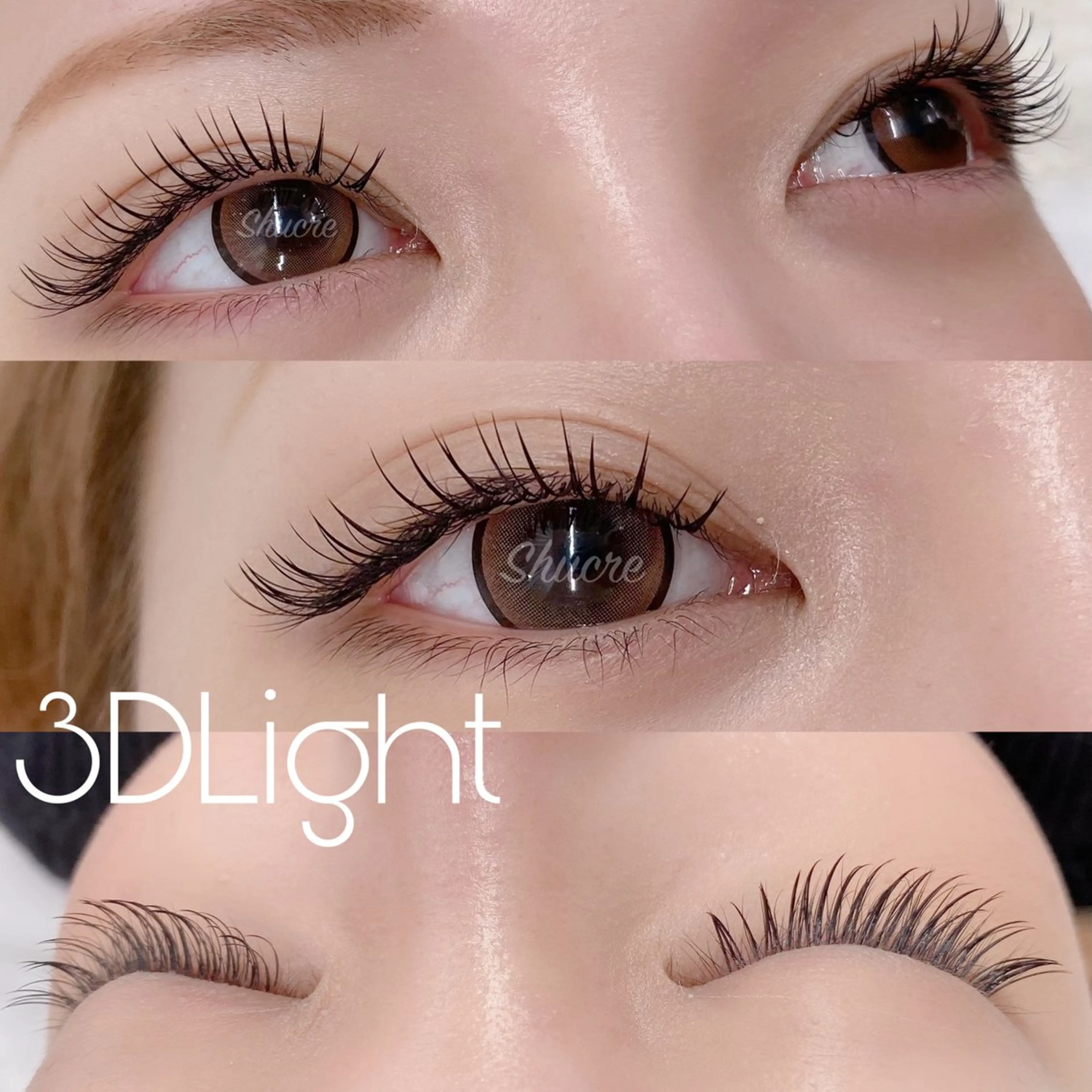 3Dライト【ボリュームラッシュ】100束の写真