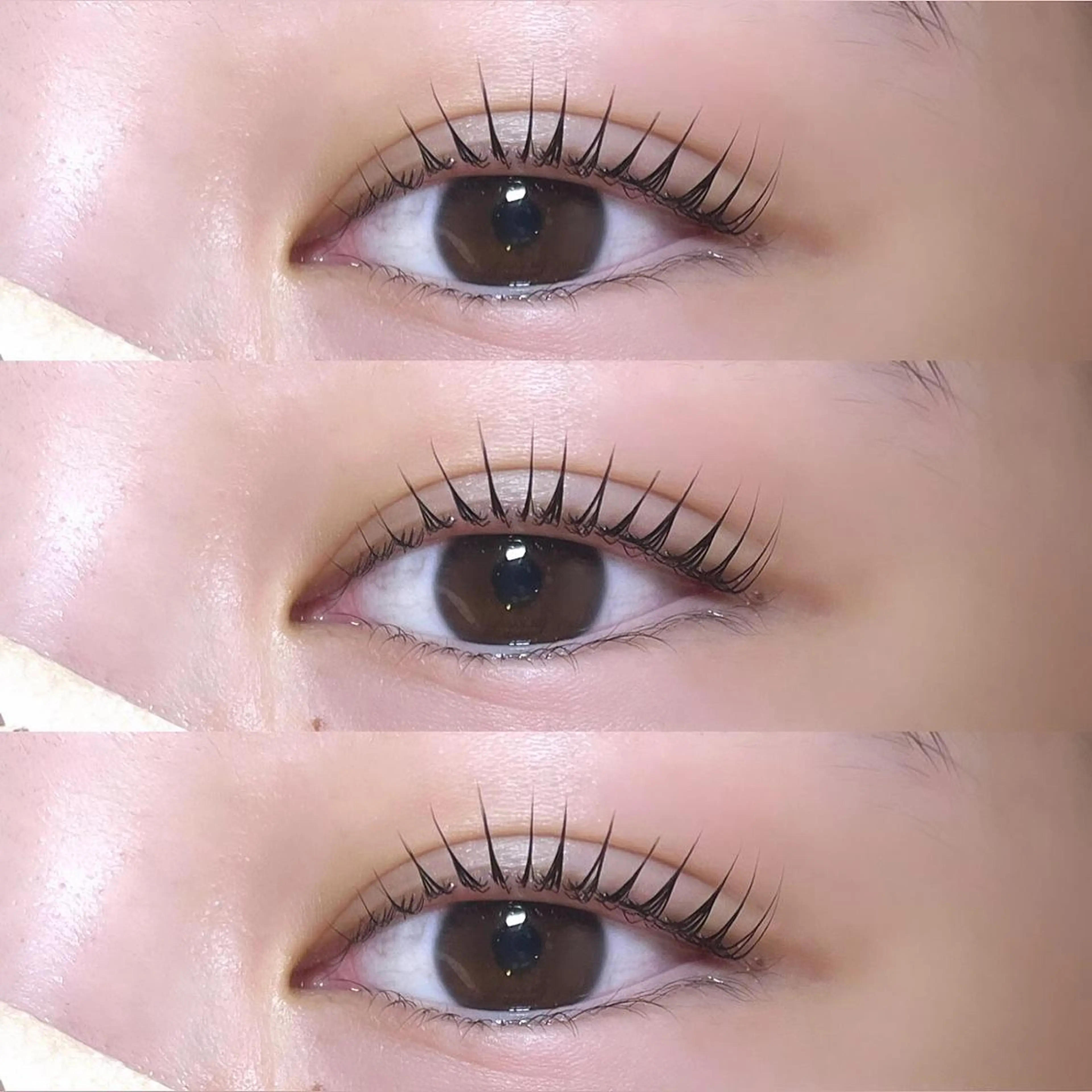 ‎minimo限定︎💕︎︎︎💕︎︎パリジェンヌラッシュリフト‎の写真