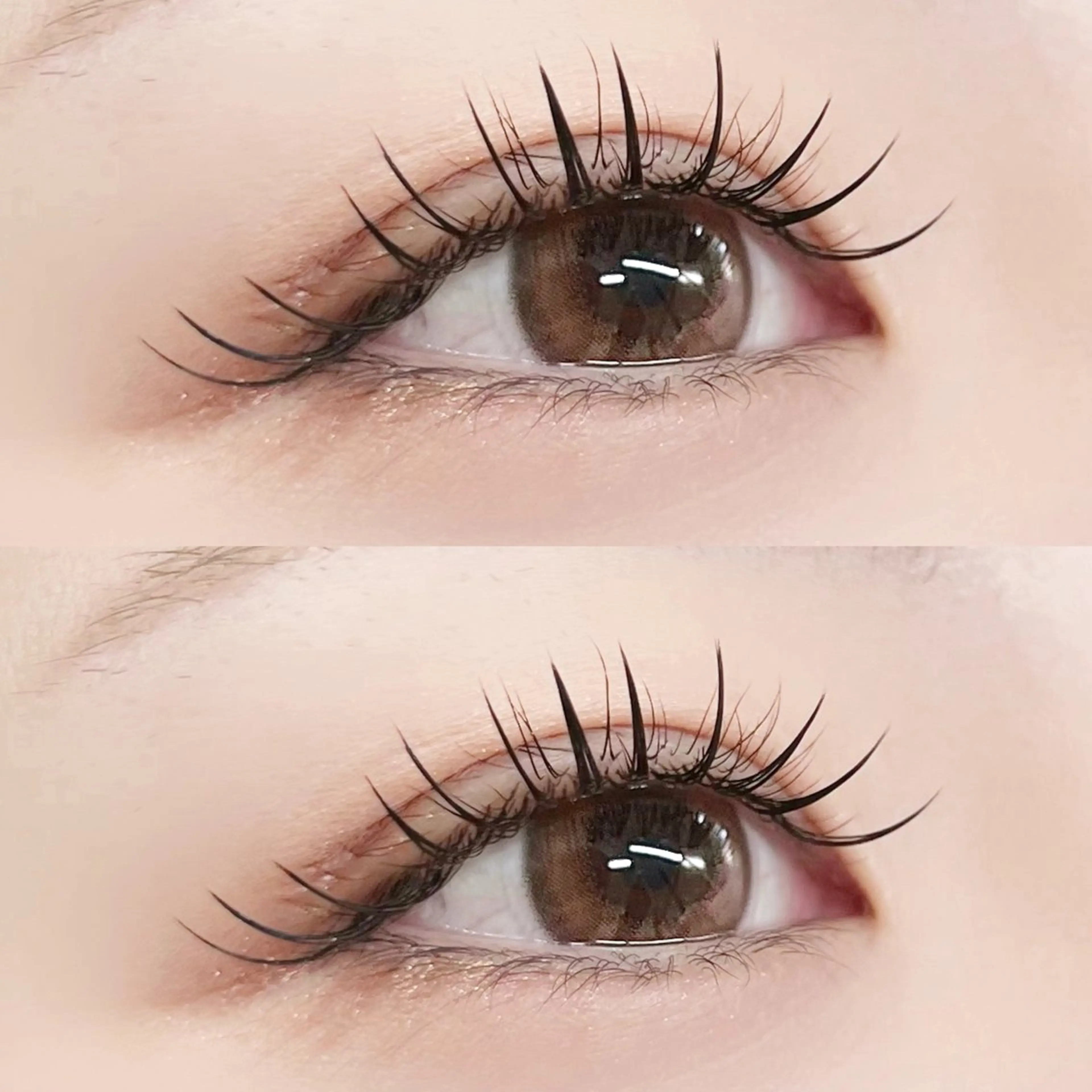 マツエク・マツパ フラットラッシュ Lucia NEXT 芳野のマツエク・マツパデザイン