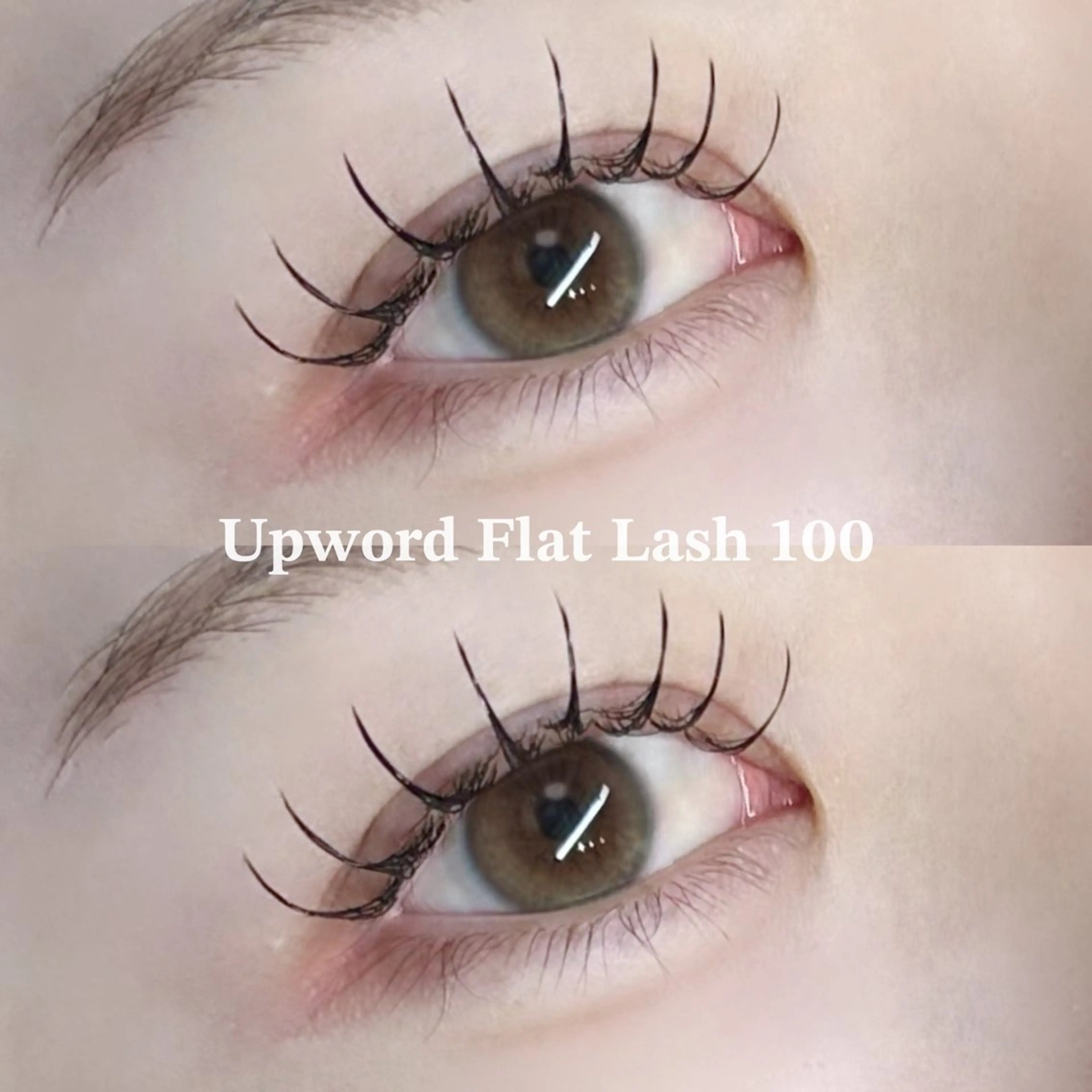 マツエク・マツパ マツエク EYELA熊本 YUIのマツエク・マツパデザイン