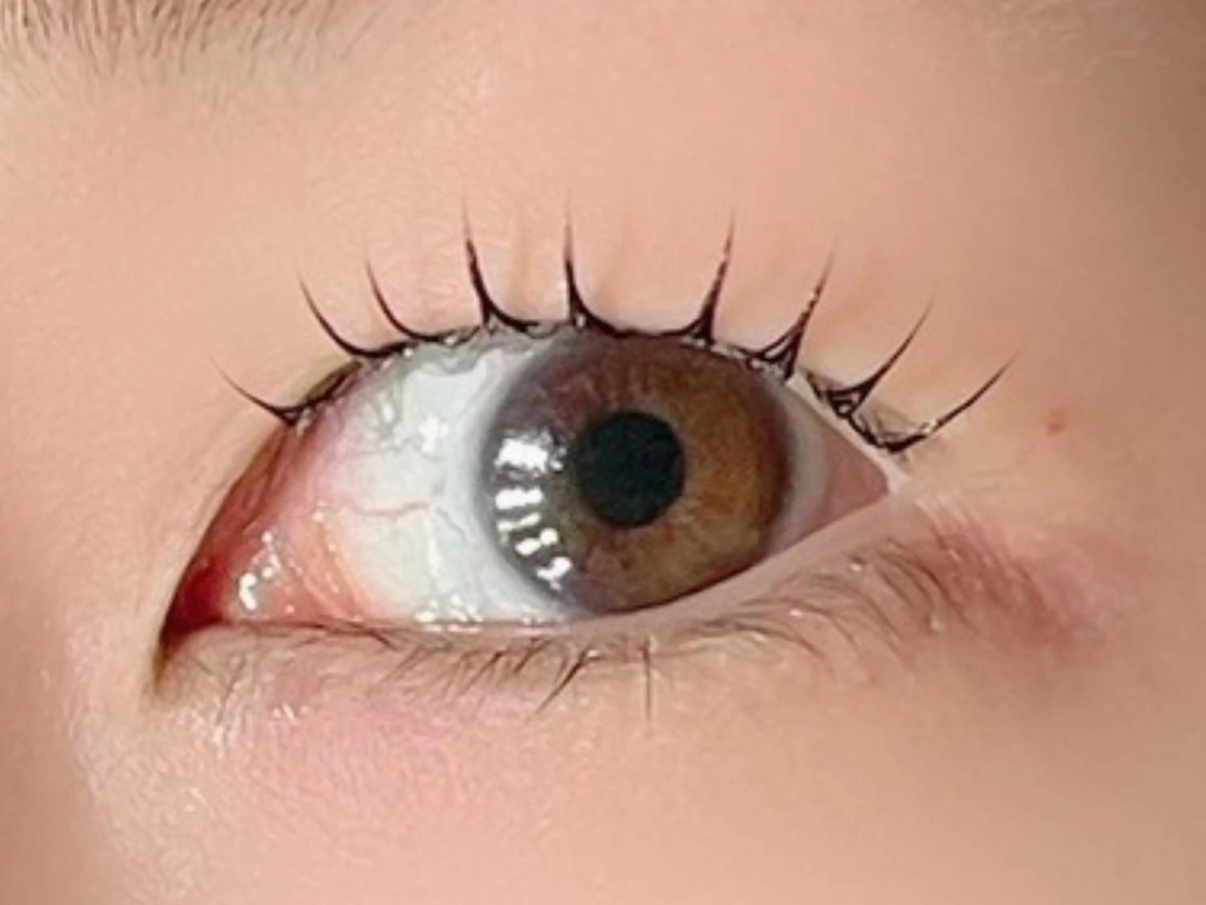 マツエク・マツパ Mian 津田沼のマツエク・マツパデザイン