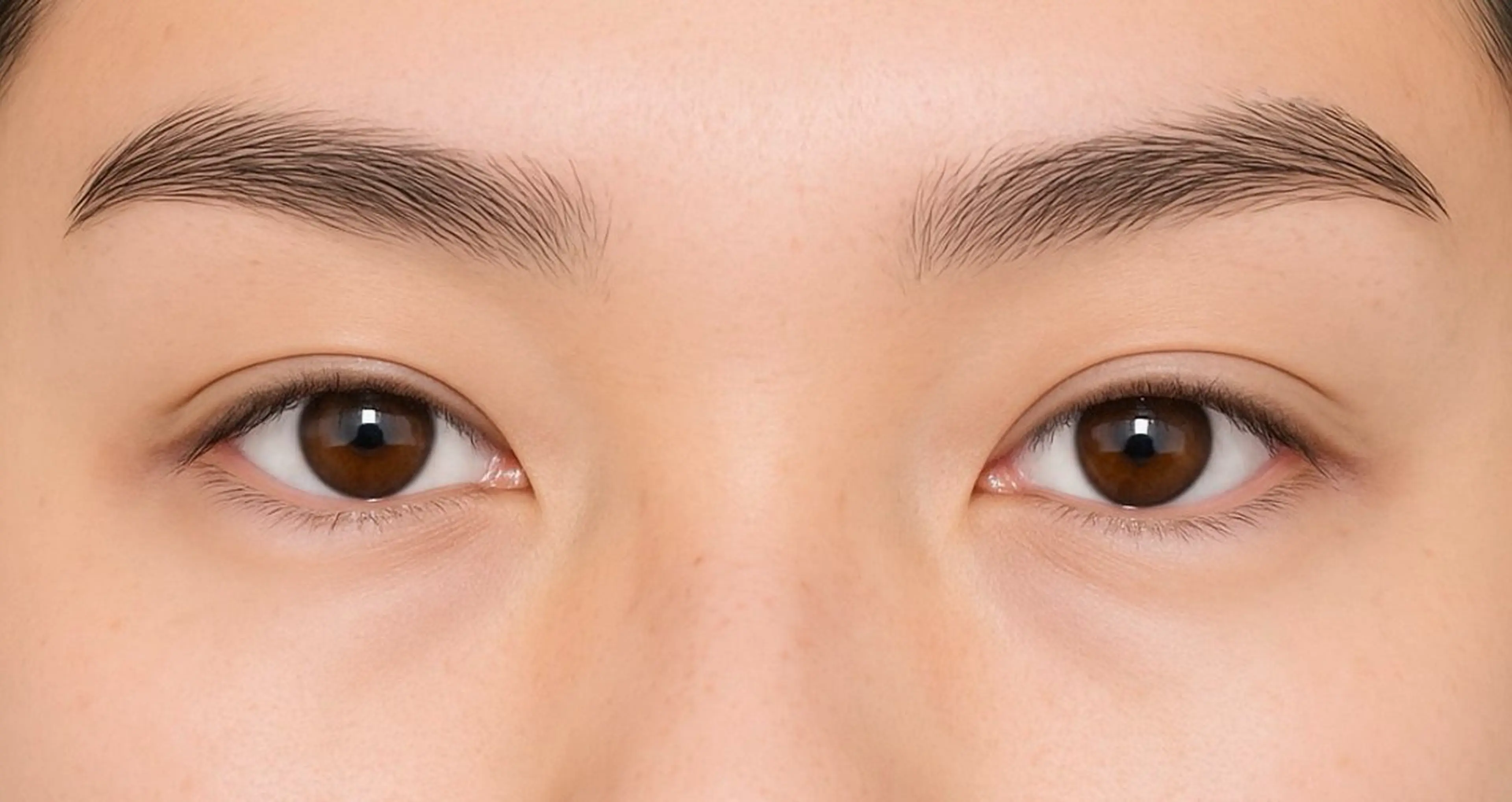 メンズアイブロウの写真