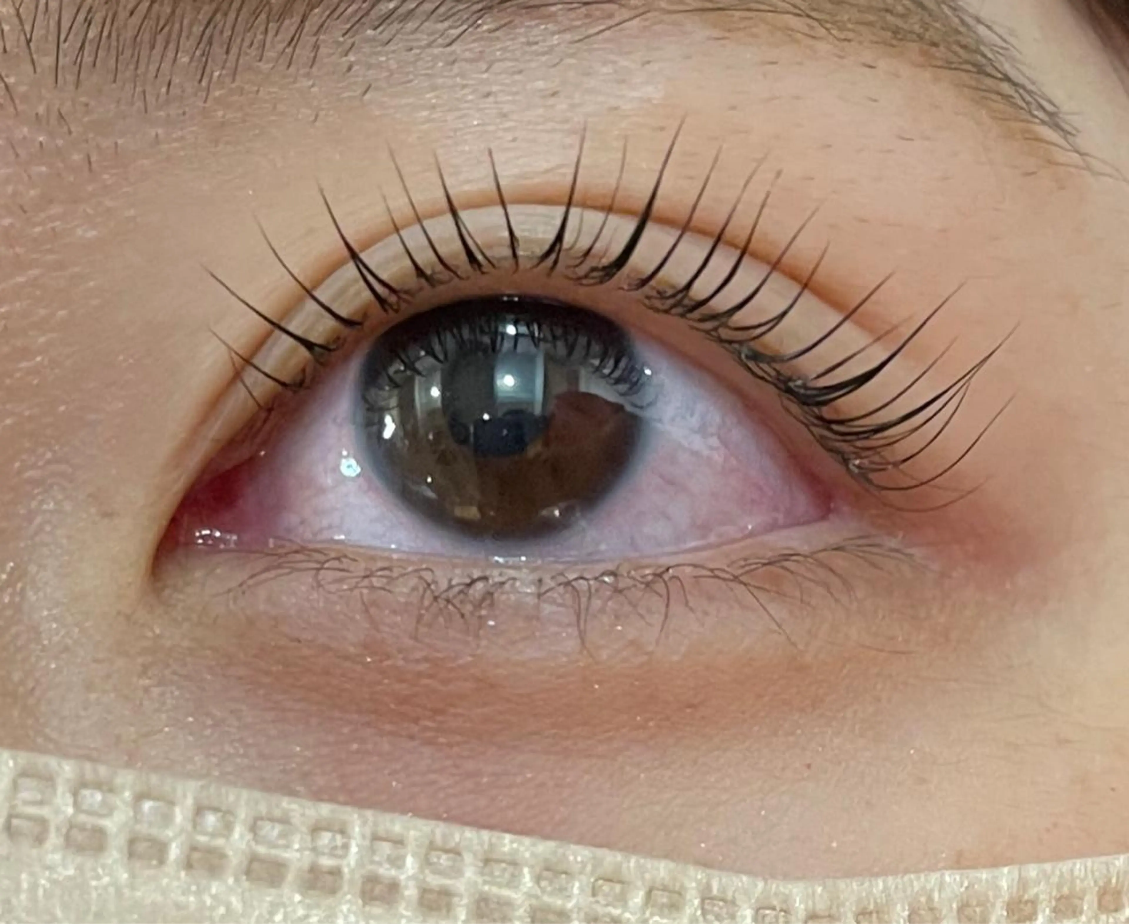 マツエク・マツパ マリーテレジア 🌻RUKAのマツエク・マツパデザイン