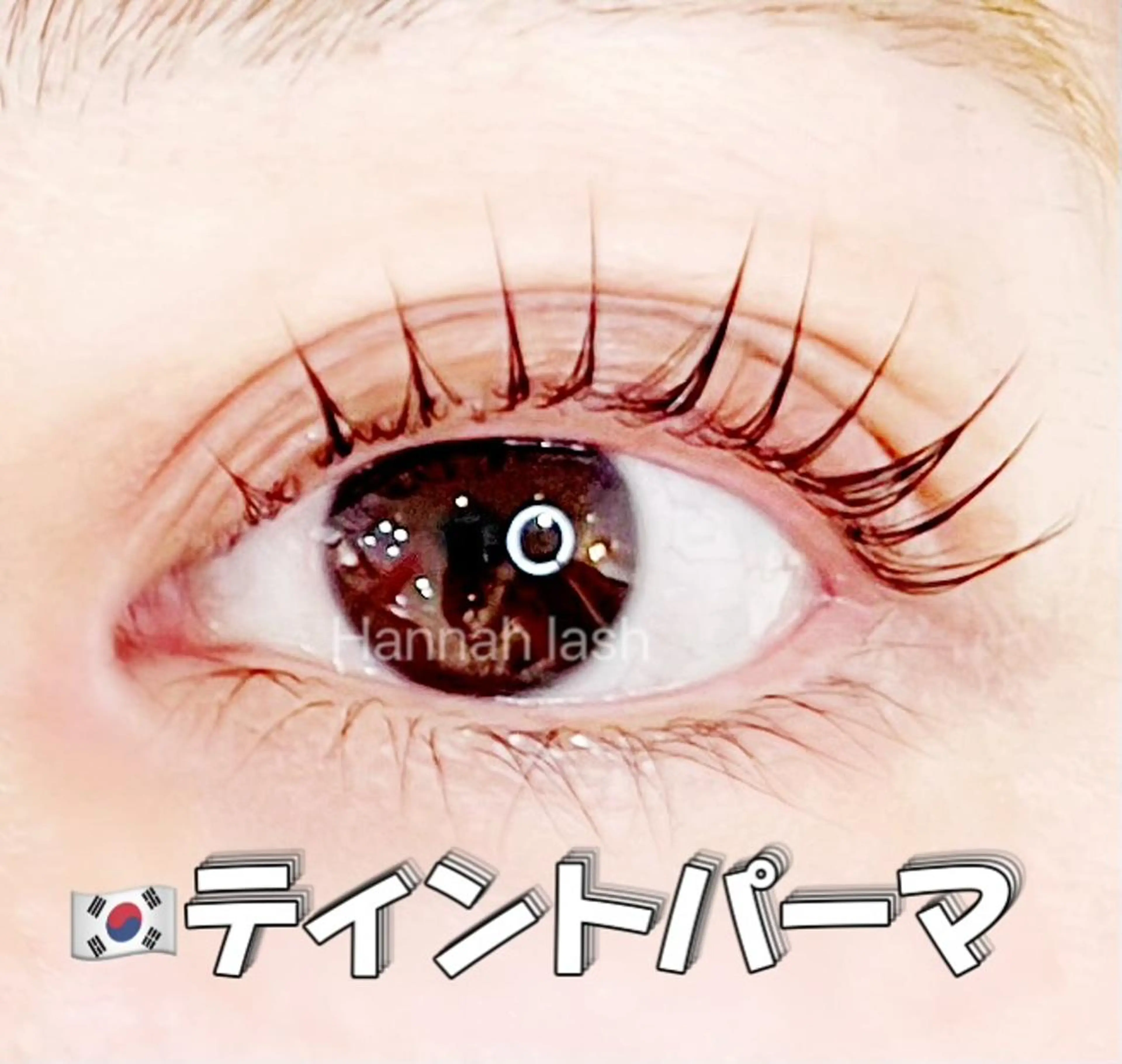 🤍本日4/13限定🤍話題の韓国式ティントパーマ🇰🇷(ブラックティント✖︎まつげパーマ)の写真