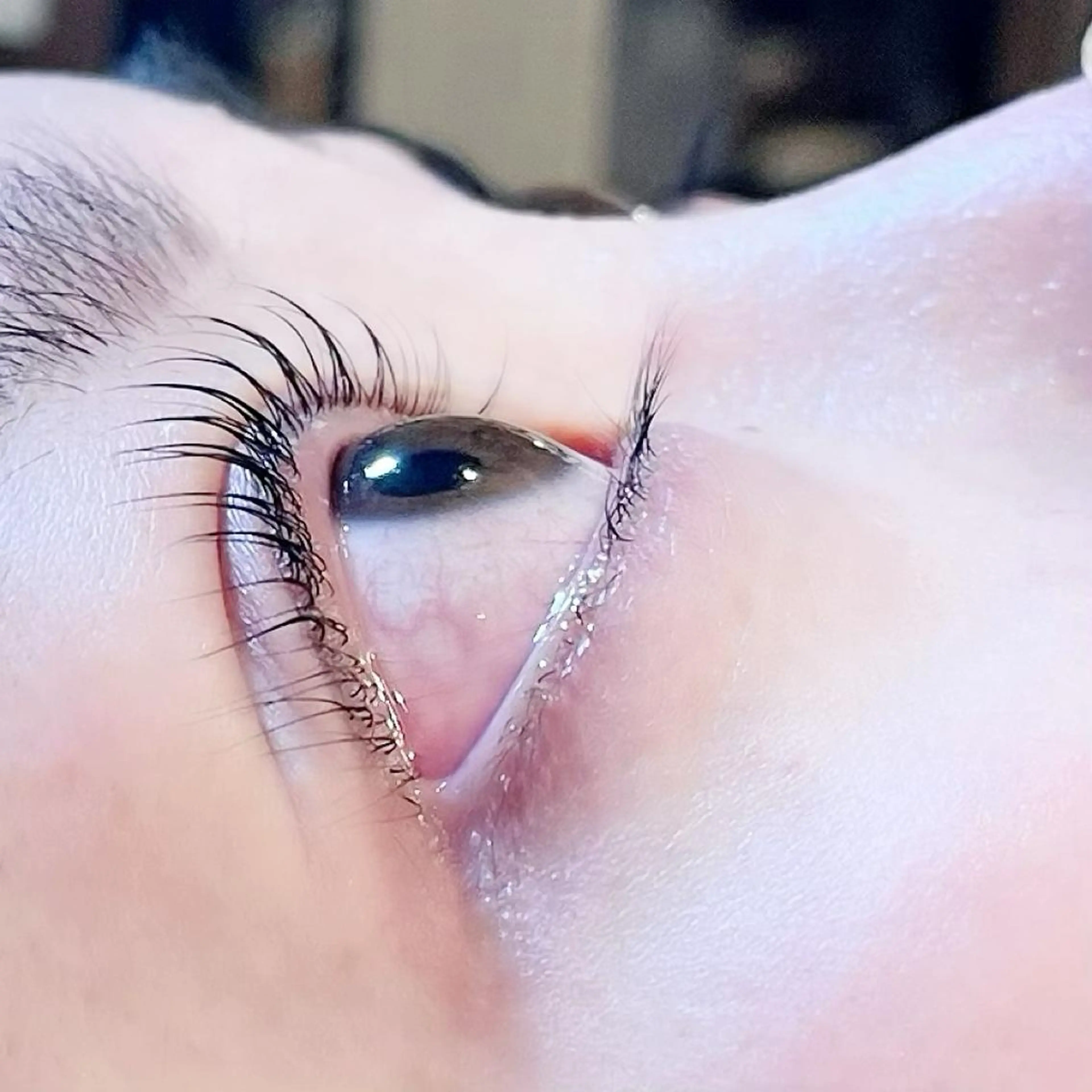 マツエク・マツパ パリジェンヌラッシュリフト 西村 未羽/ﾏﾂｴｸ /網紅/ﾊﾟﾘのマツエク・マツパデザイン