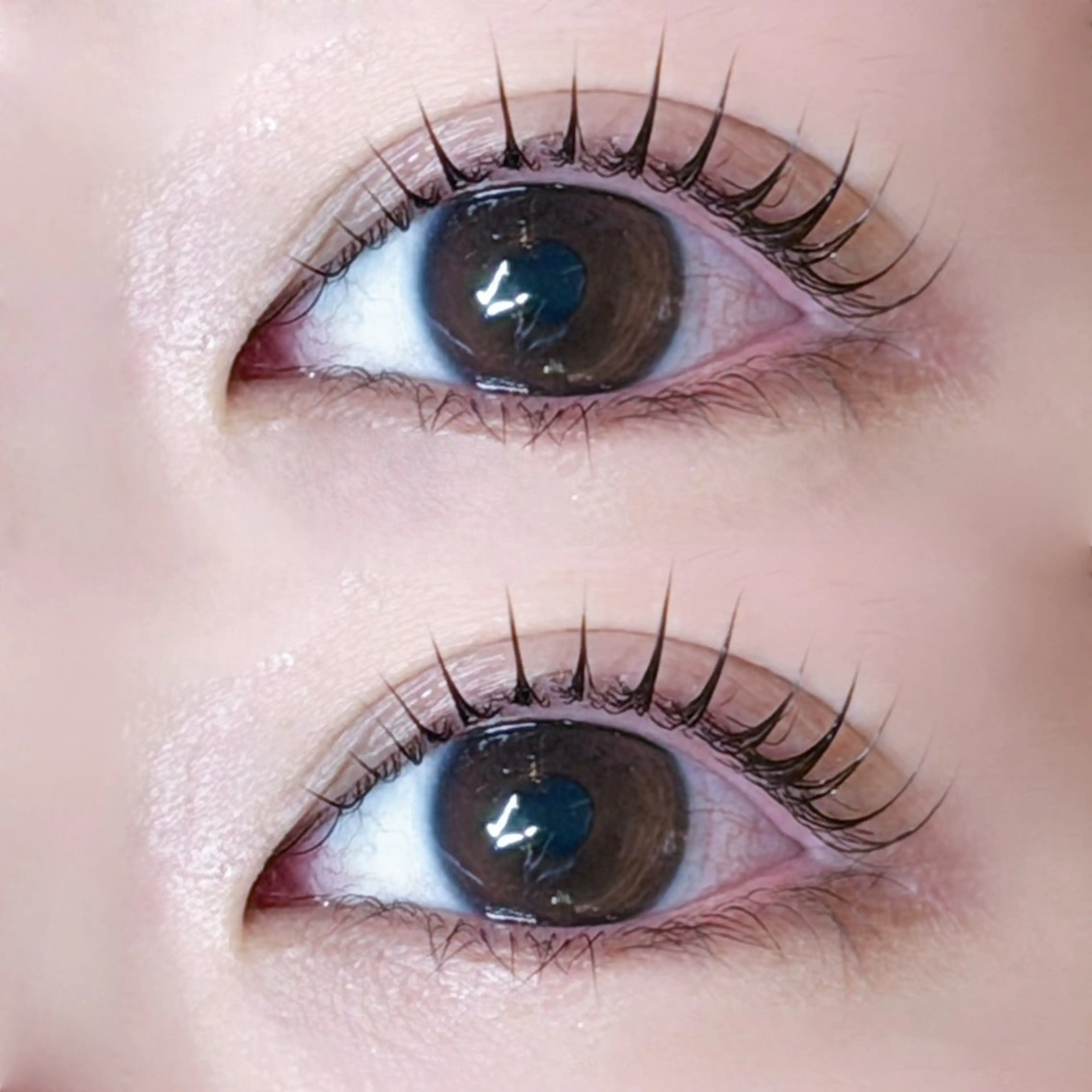 マツエク・マツパ マツパ Reina🎀/ 韓国まつげ🫧/梅田のマツエク・マツパデザイン