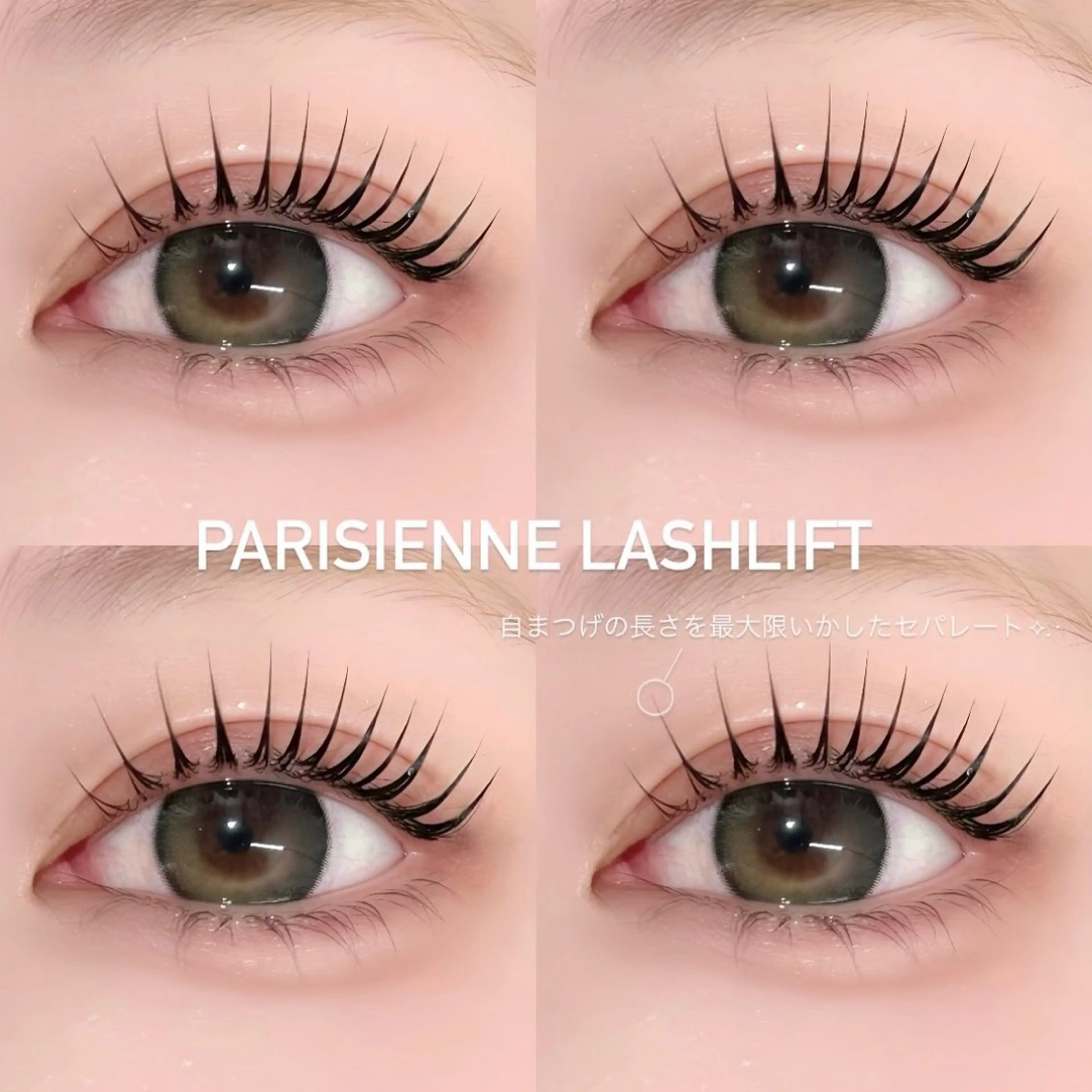 限定🎀パリジェンヌ♡の写真