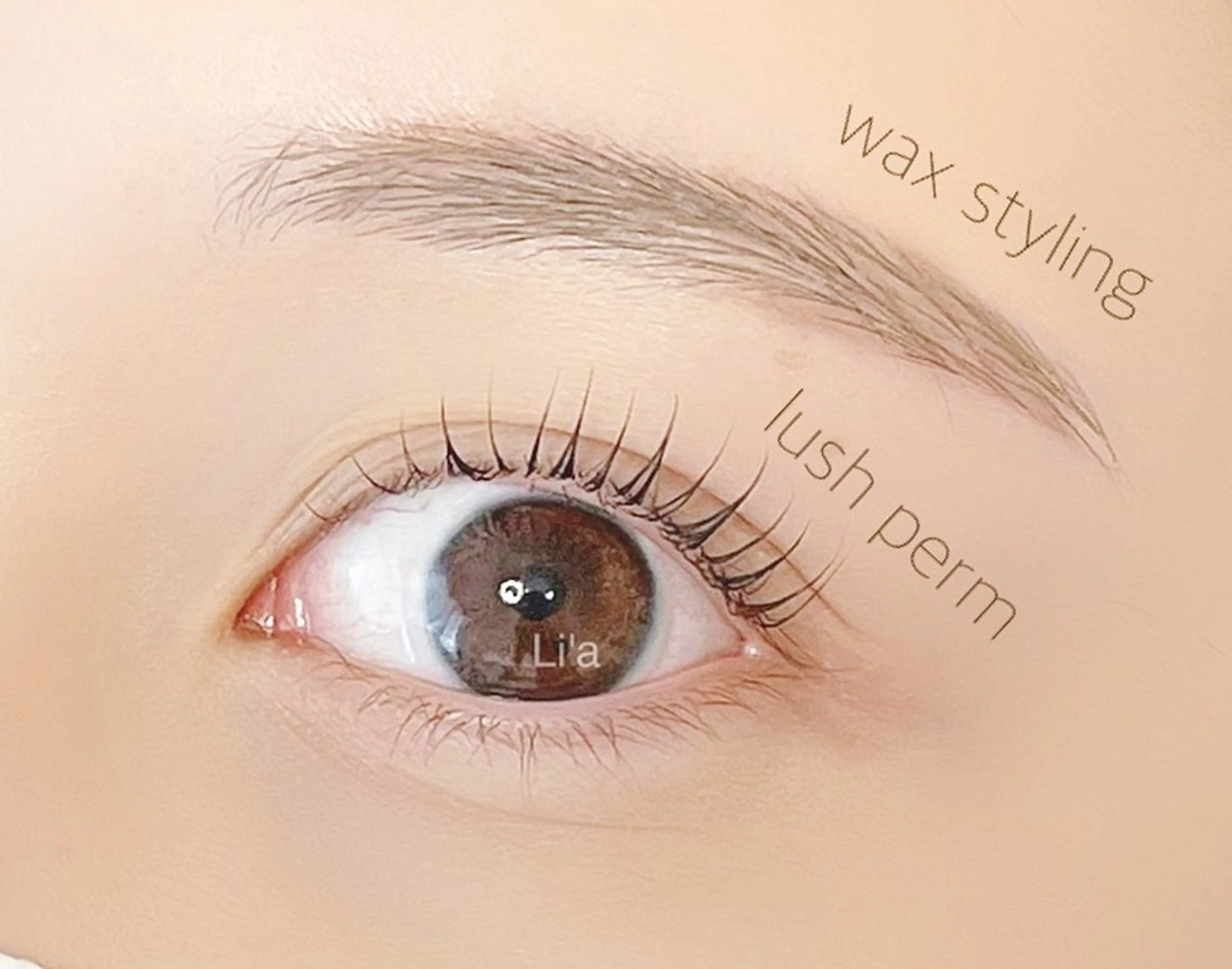 アイブロウ Li'a-eyes- 🩵のエステ・リラクイメージ