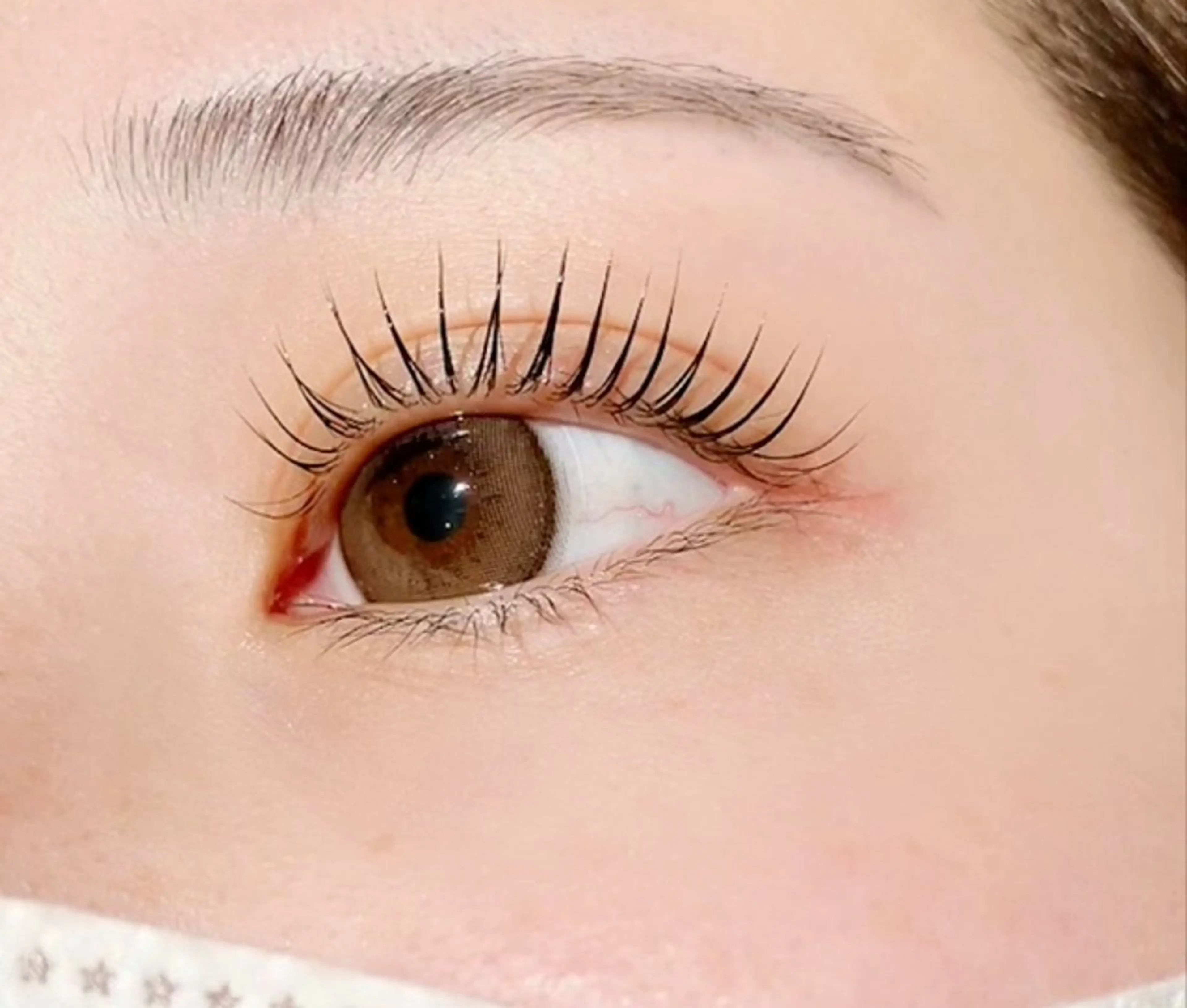 上まつ毛パーマ✨lush lift【シャンプー・美容液付】の写真