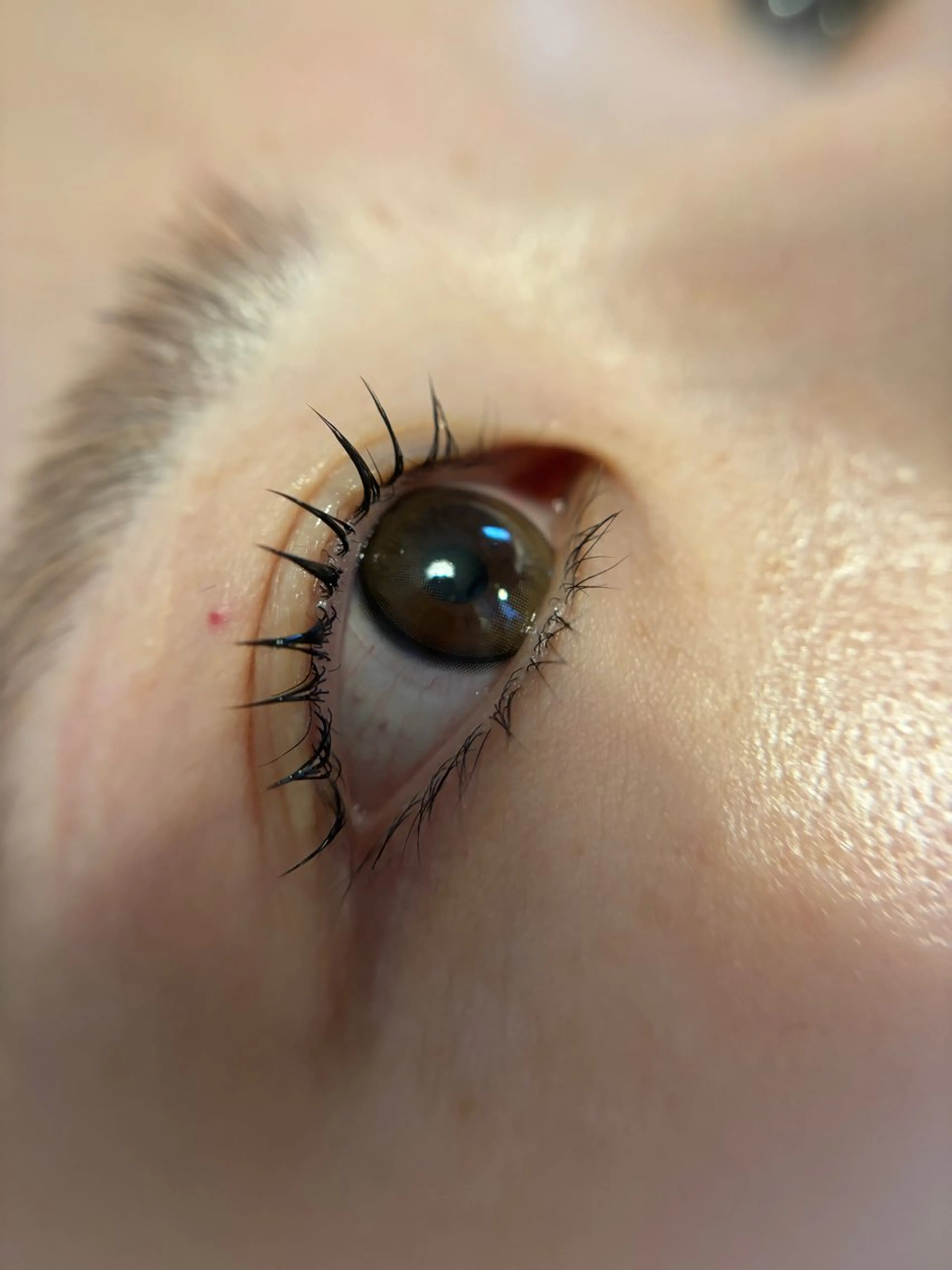 マツエク・マツパ eyelash Ponolyのマツエク・マツパデザイン