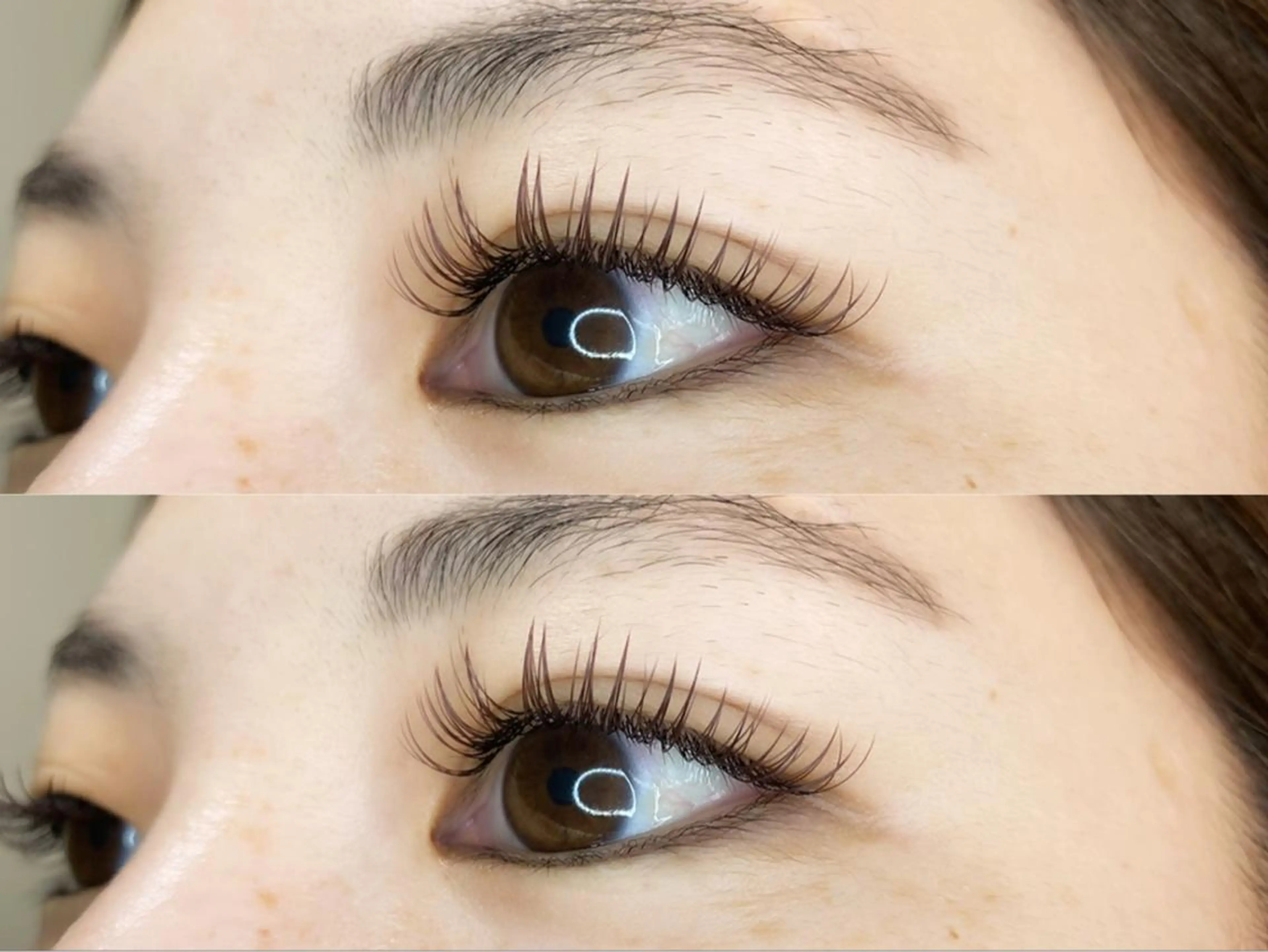 オフ込み　フラットラッシュ🌼100本の写真