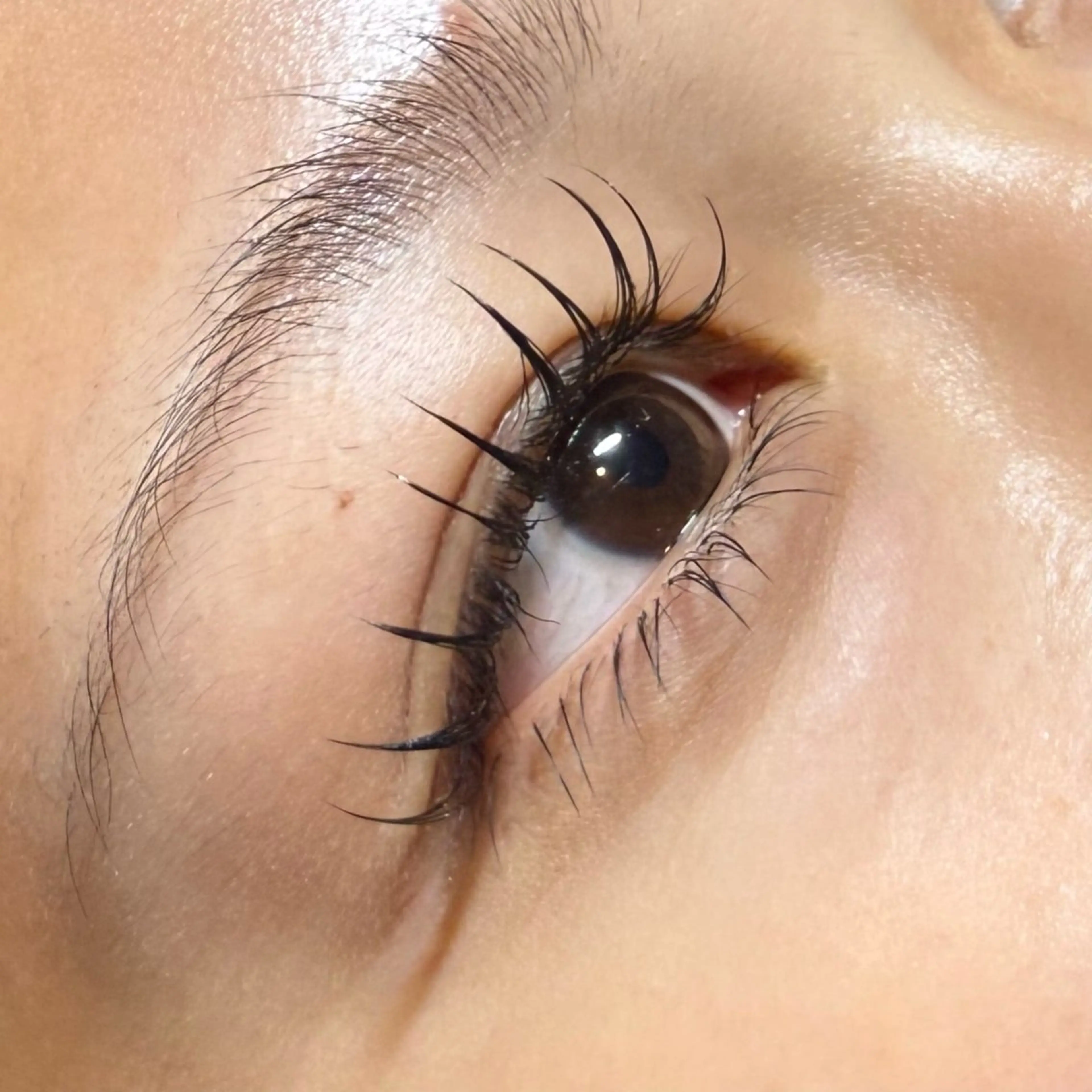 マツエク・マツパ フラットラッシュ Rimie👀 Watanabeのマツエク・マツパデザイン