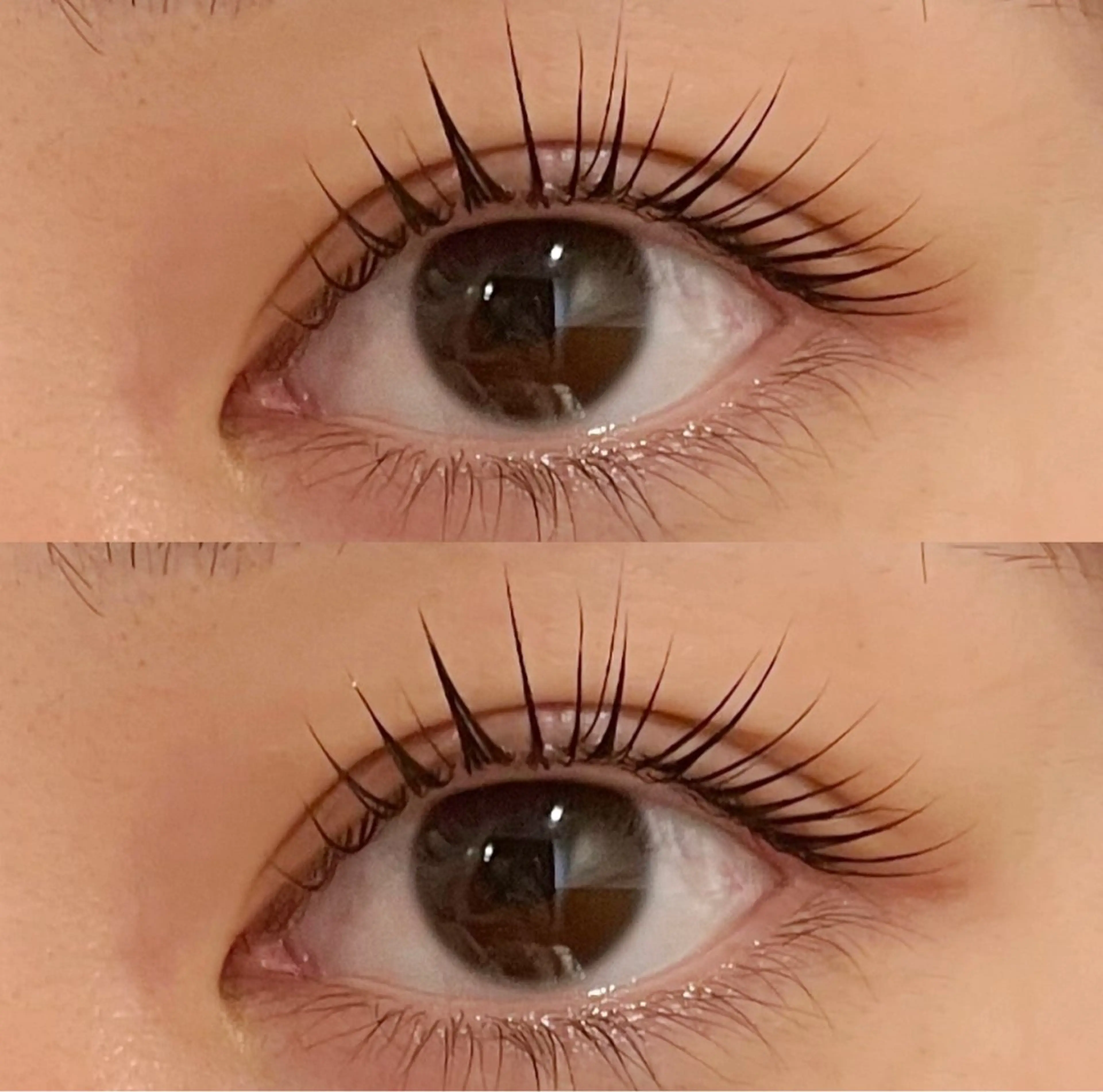 🗣️選べるデザイン𓅯 ⸒⸒パリジェンヌ/メーテルの写真