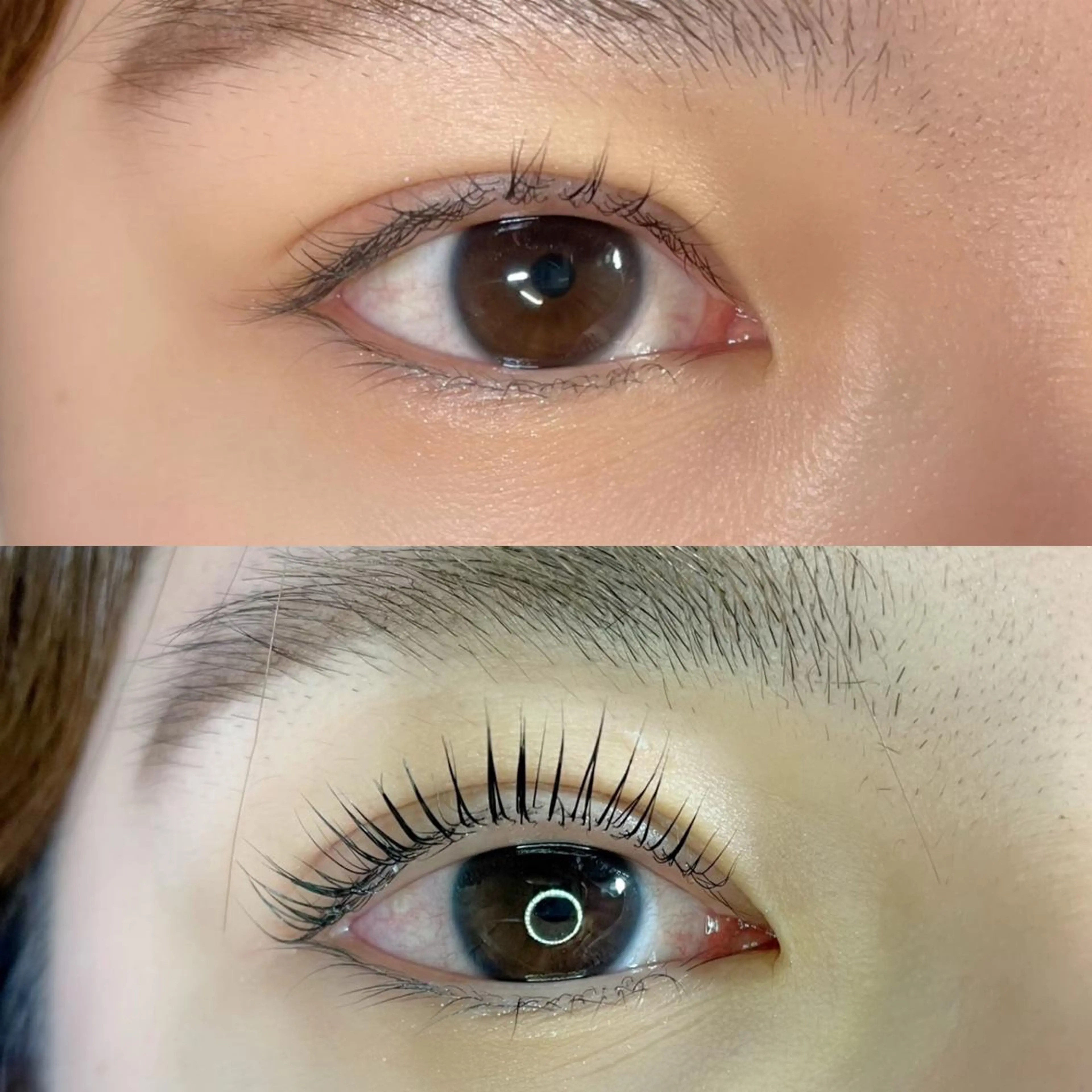 パリジェンヌラッシュリフト(モチ2倍、刑事記憶+育毛トリートメント付き)の写真