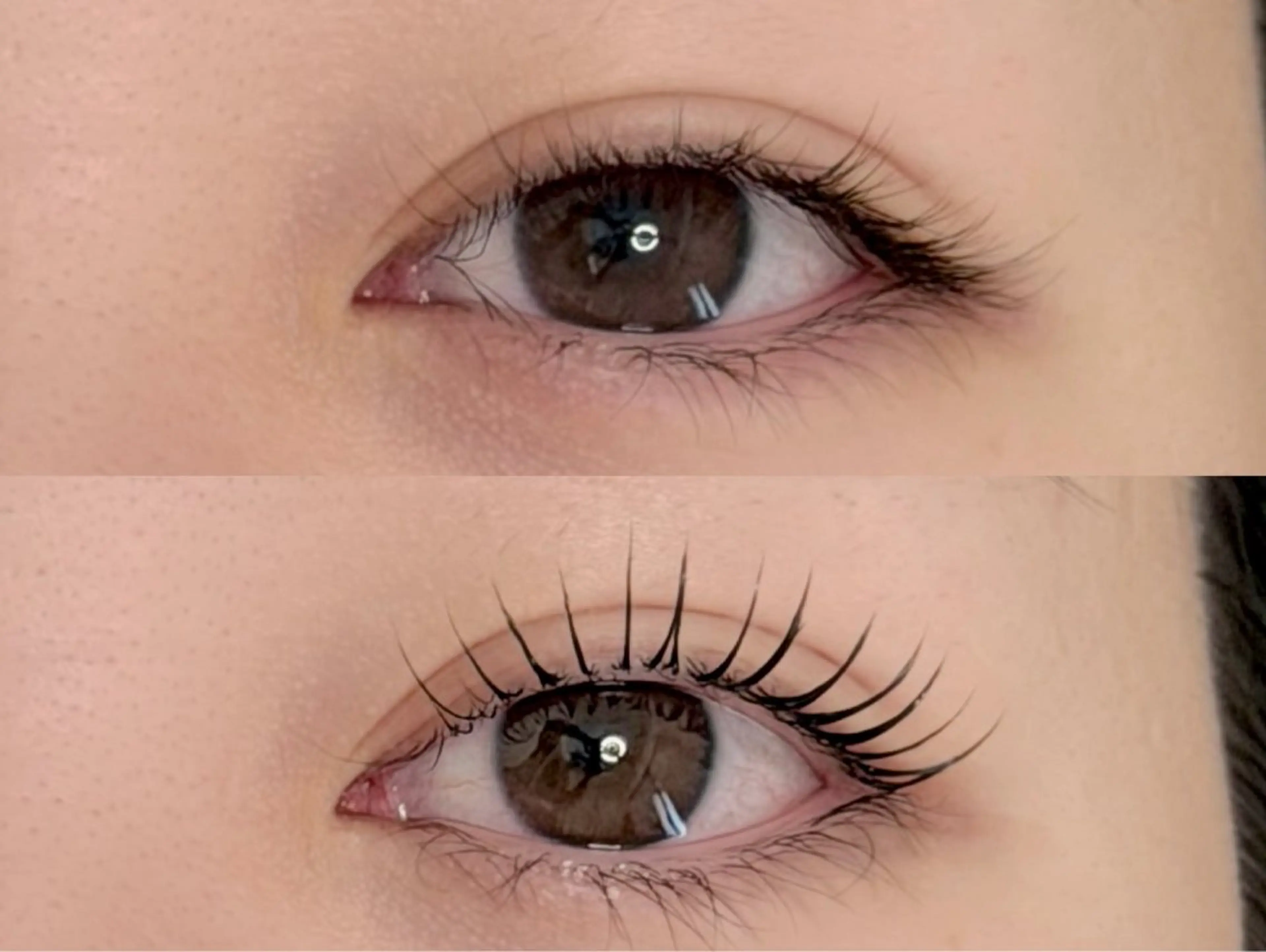 マツエク・マツパ マツパ 菅野 葵衣の眉毛・アイブロウイメージ