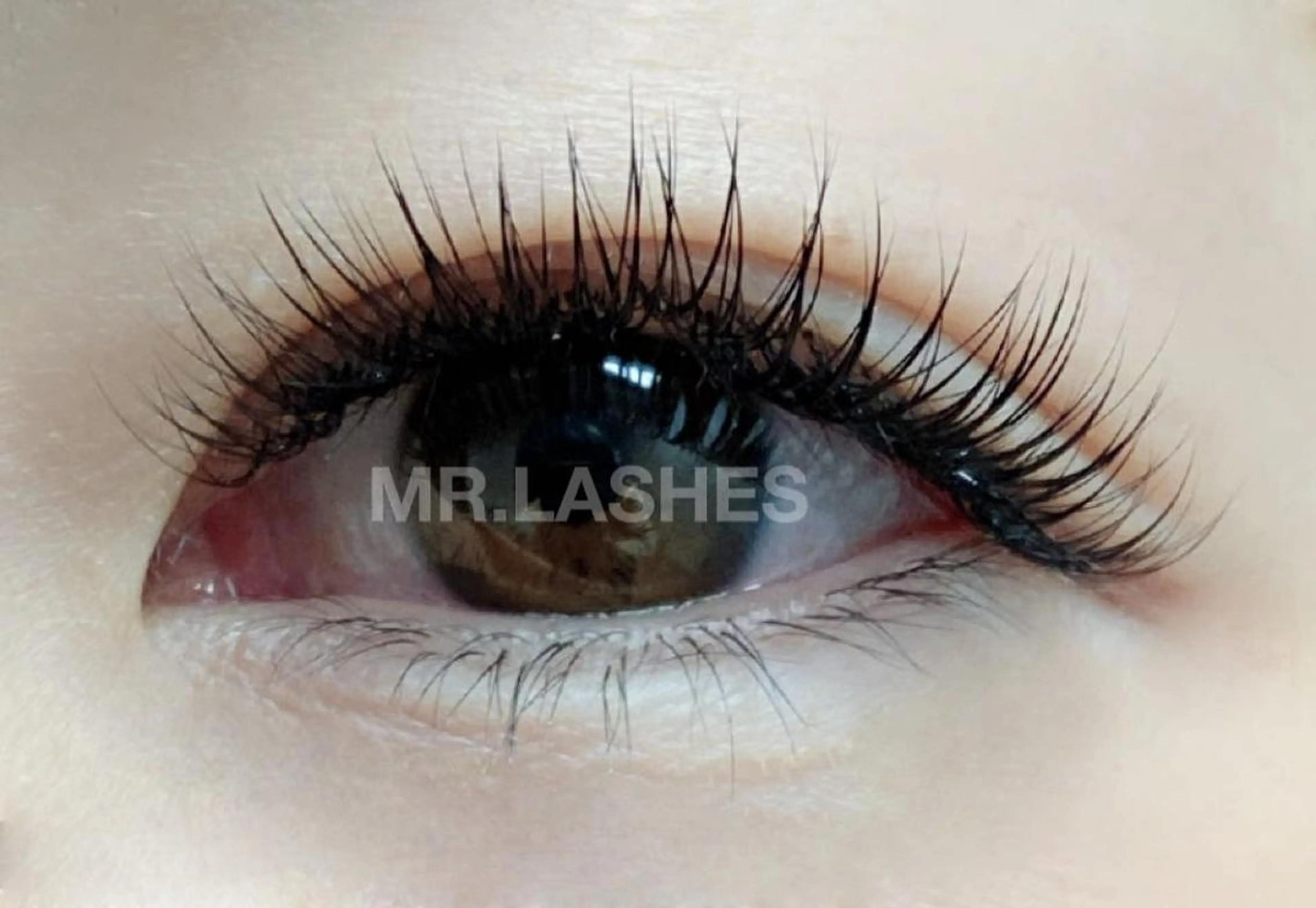 マツエク・マツパ 付け放題 Mi Ryoのマツエク・マツパデザイン