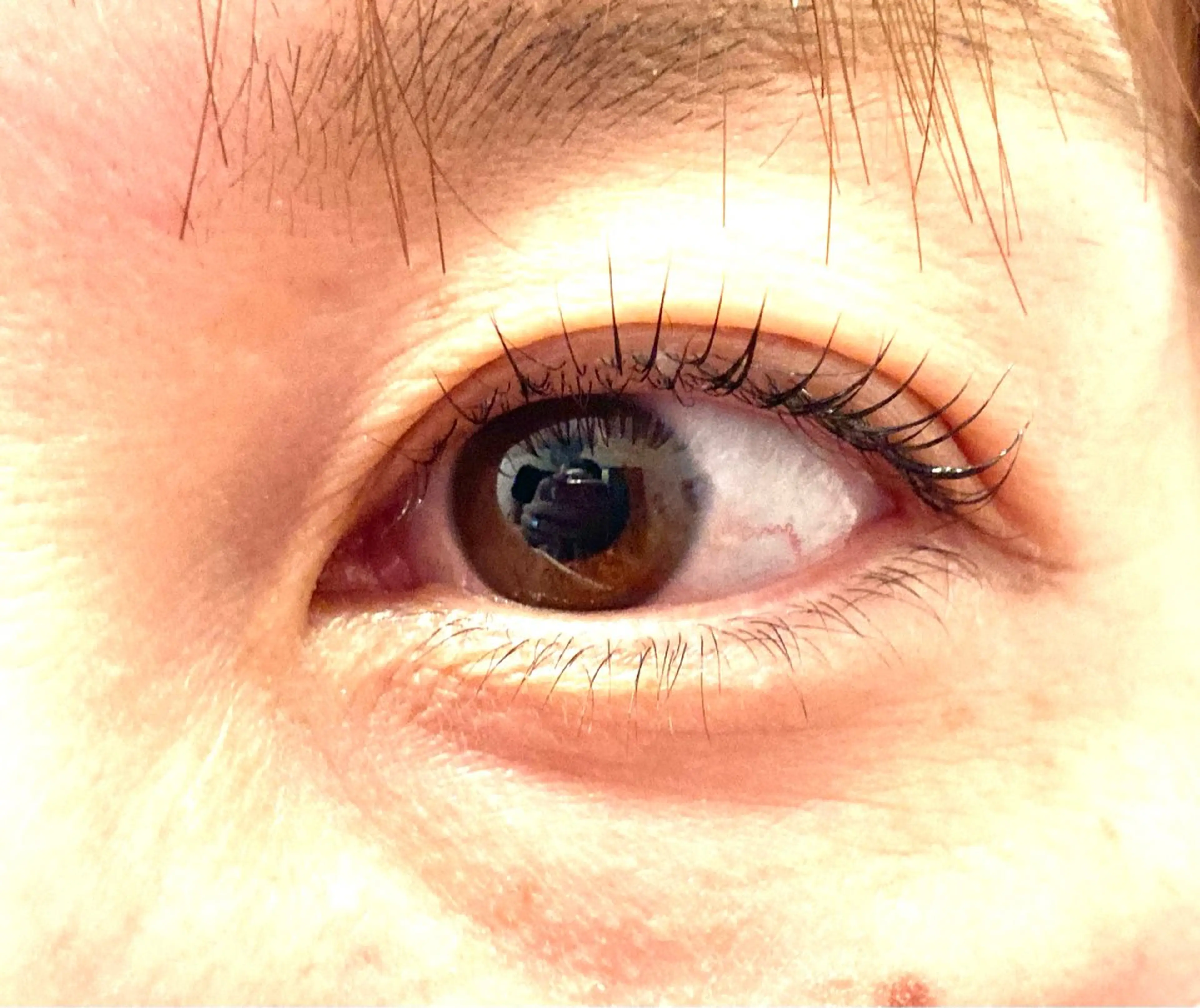 マツエク・マツパ himawari Leiのマツエク・マツパデザイン