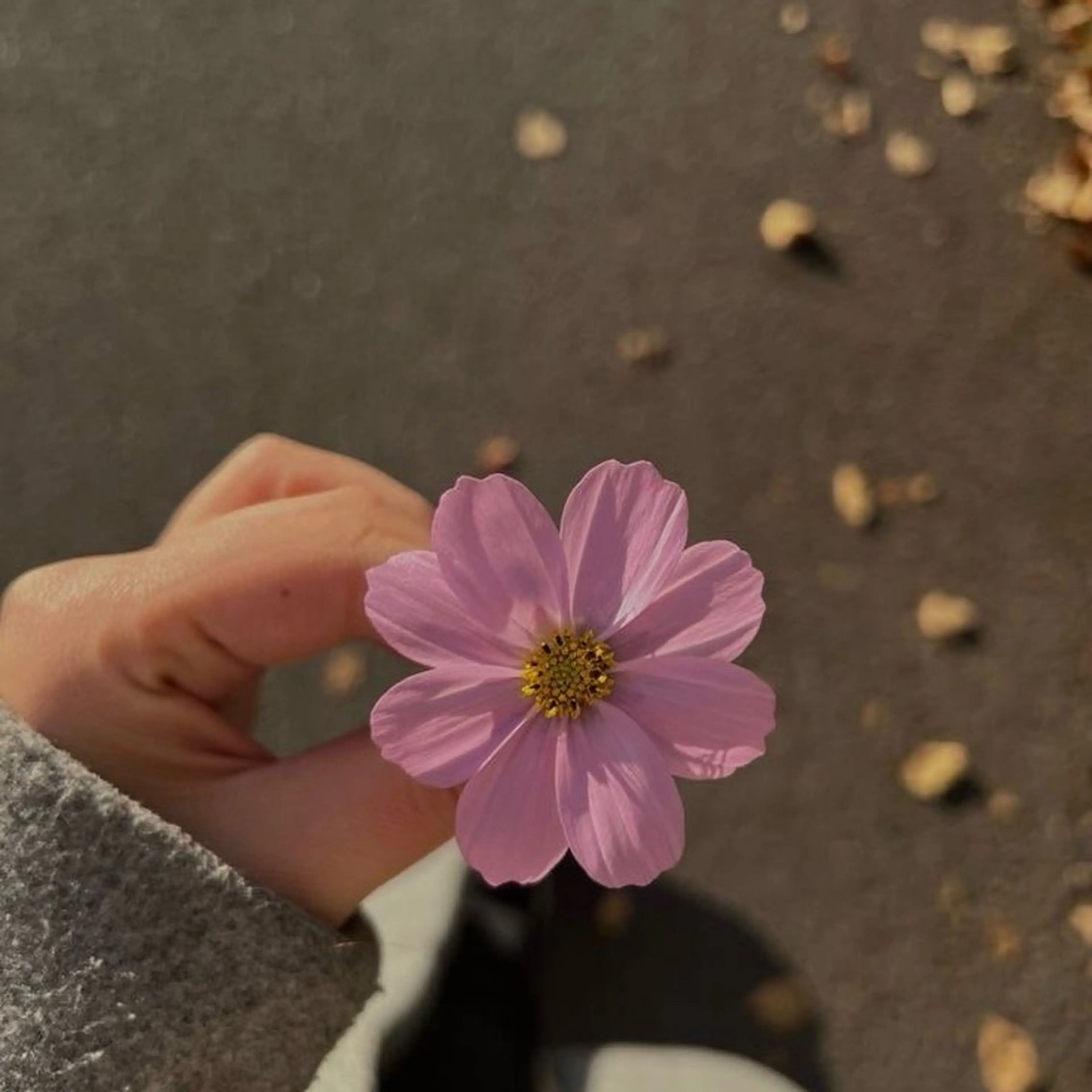 マツエク・マツパ フラットラッシュ 韓国風マツエク ナチュラル パリジェンヌラッシュリフト まつげパーマ 浦和駅近完全個室 Michikoのマツエク・マツパデザイン