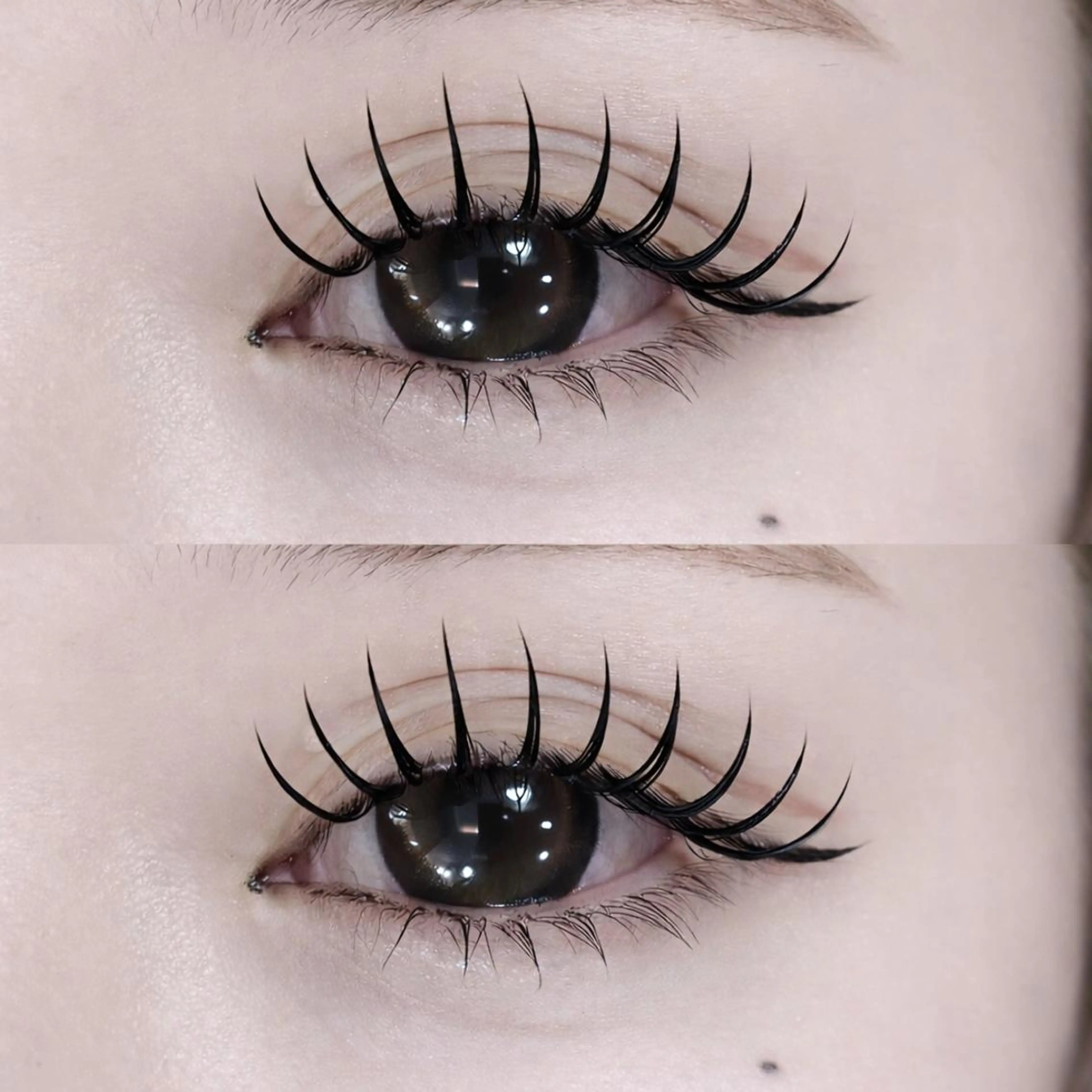 🖤上下エクステ🖤上バインドロック80束～100束、下20本～(5500円～)の写真