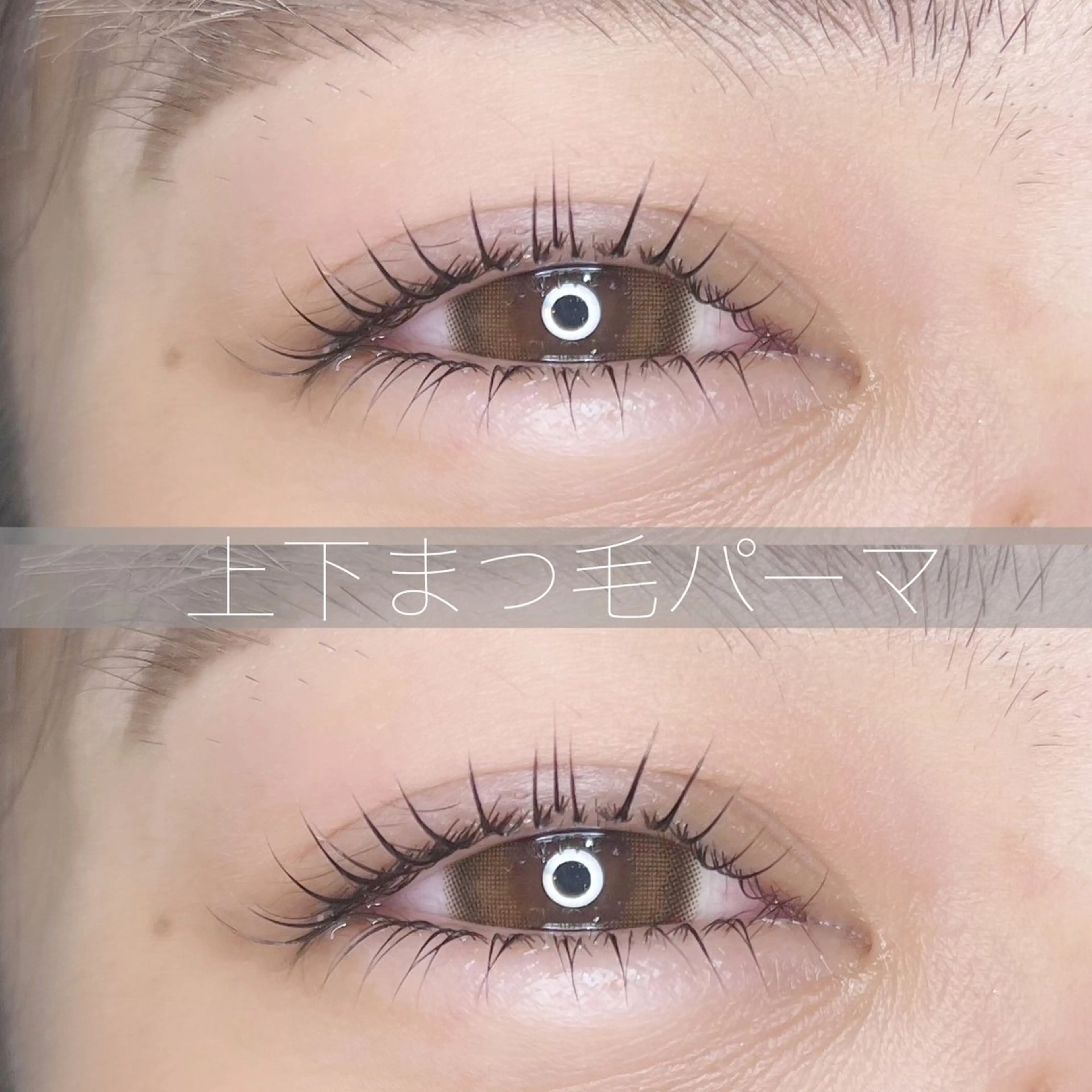 【2回目以降の方はこちらから🤍】上下まつ毛パーマ👀♡の写真