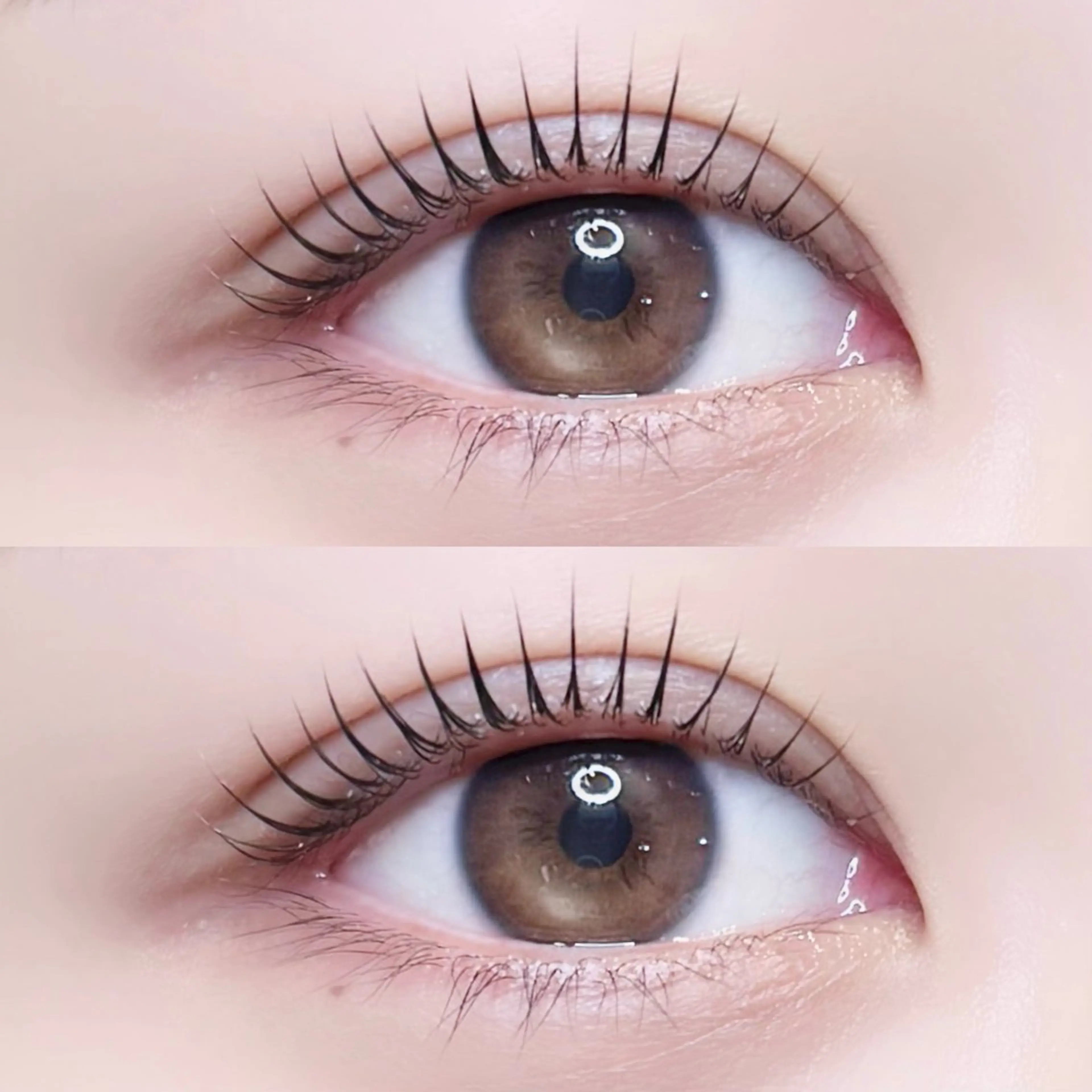 マツエク・マツパ マツパ iels三軒茶屋/ ITO RUIのマツエク・マツパデザイン