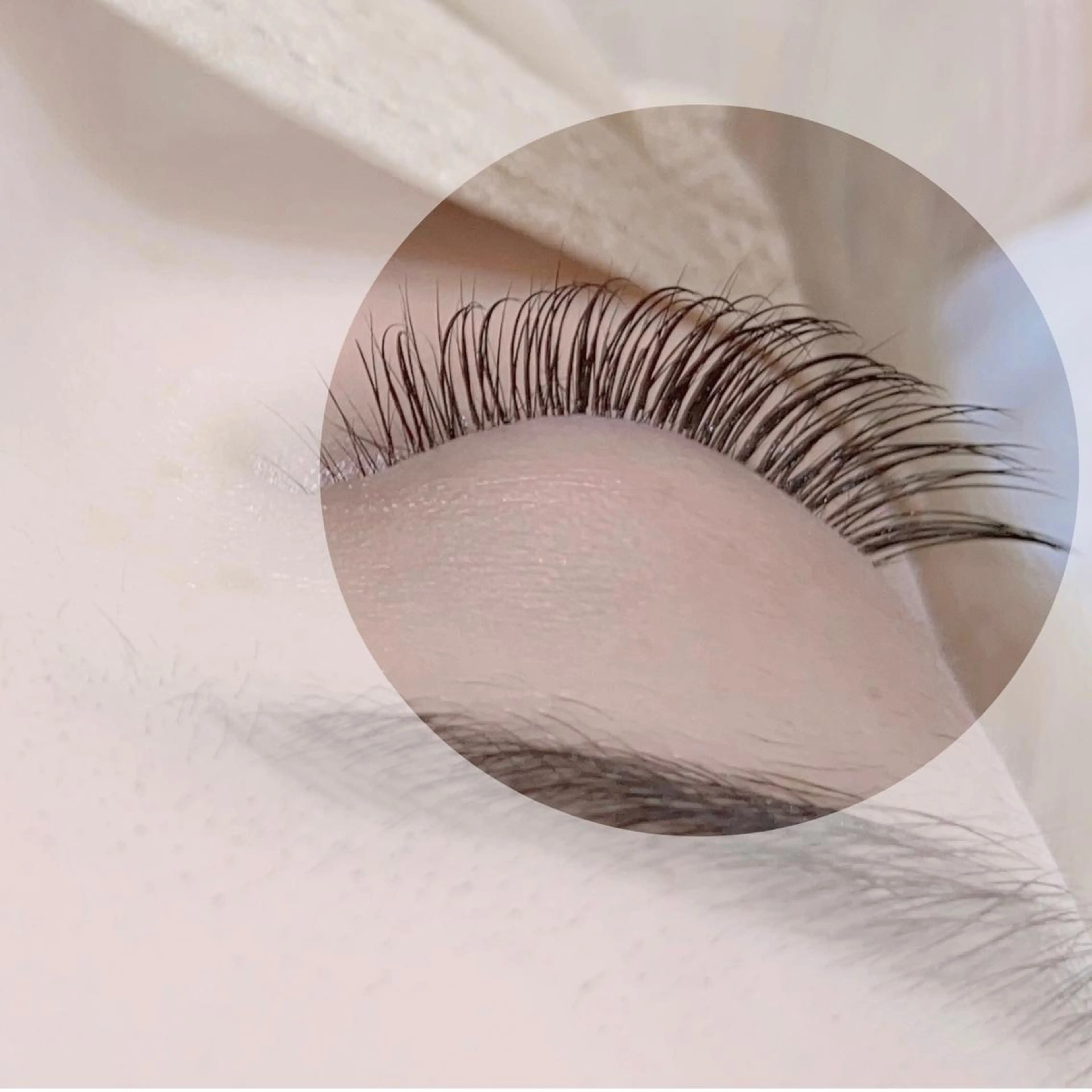 マツエク・マツパ カラーマツエク フラットラッシュ 韓国風マツエク パリジェンヌラッシュリフト まつげパーマ barro.1995所属・オーダーメイドまつげ ＆まゆげ.RIKAのマツエク・マツパデザイン