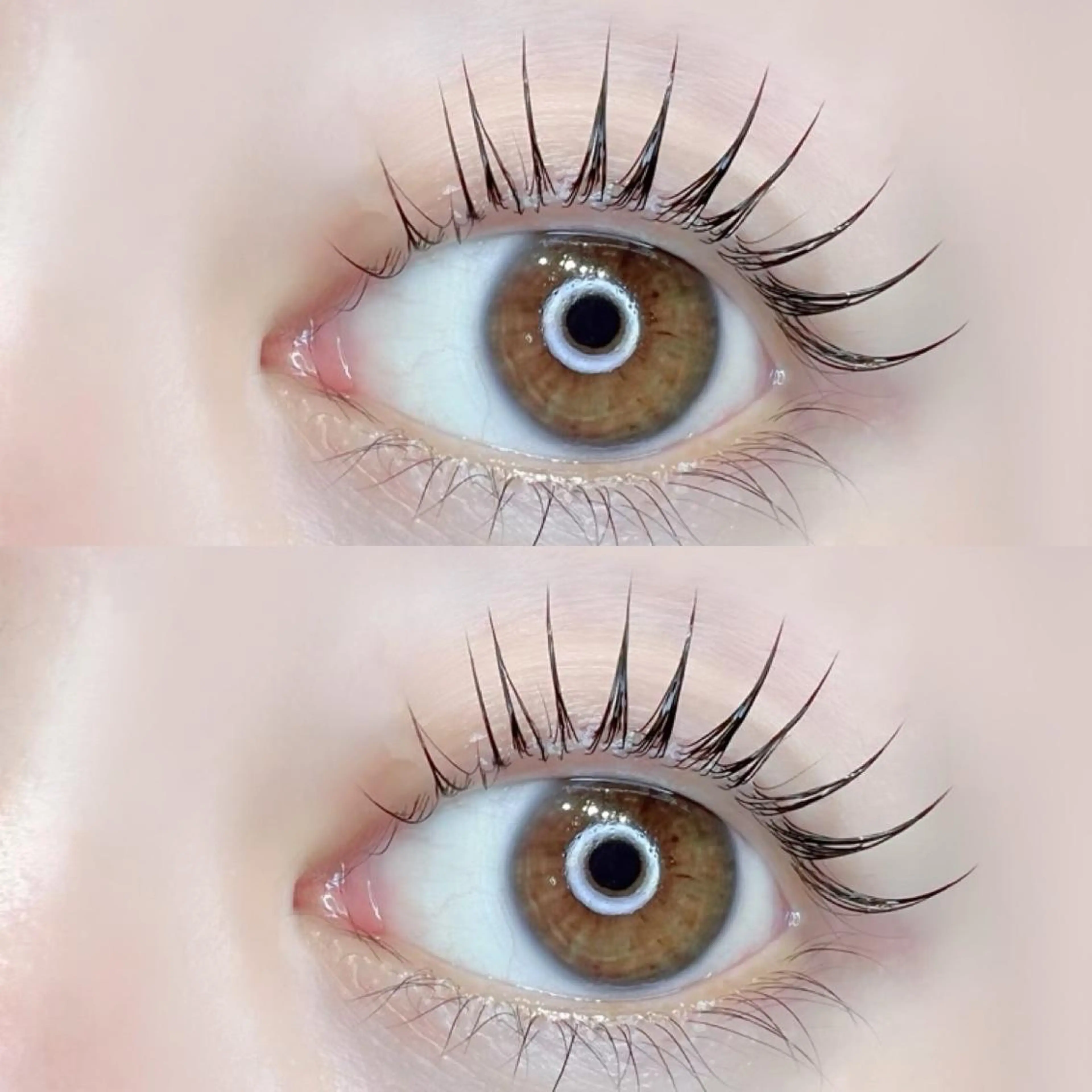 限定価格✨【再来様上下ラッシュリフト】デカ目効果&小顔効果の写真