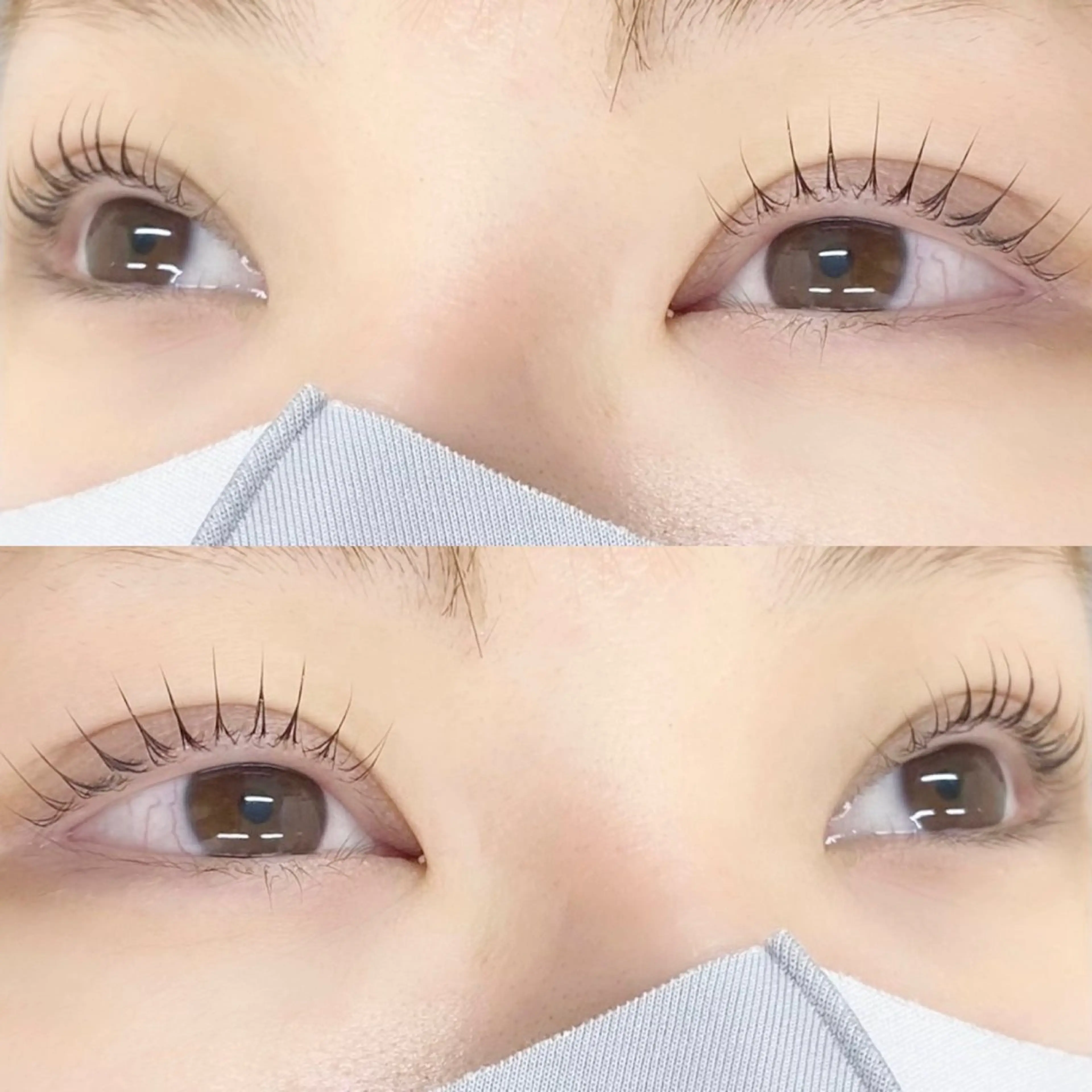 マツエク・マツパ 🌼Alba🌼 犬馬塲のマツエク・マツパデザイン