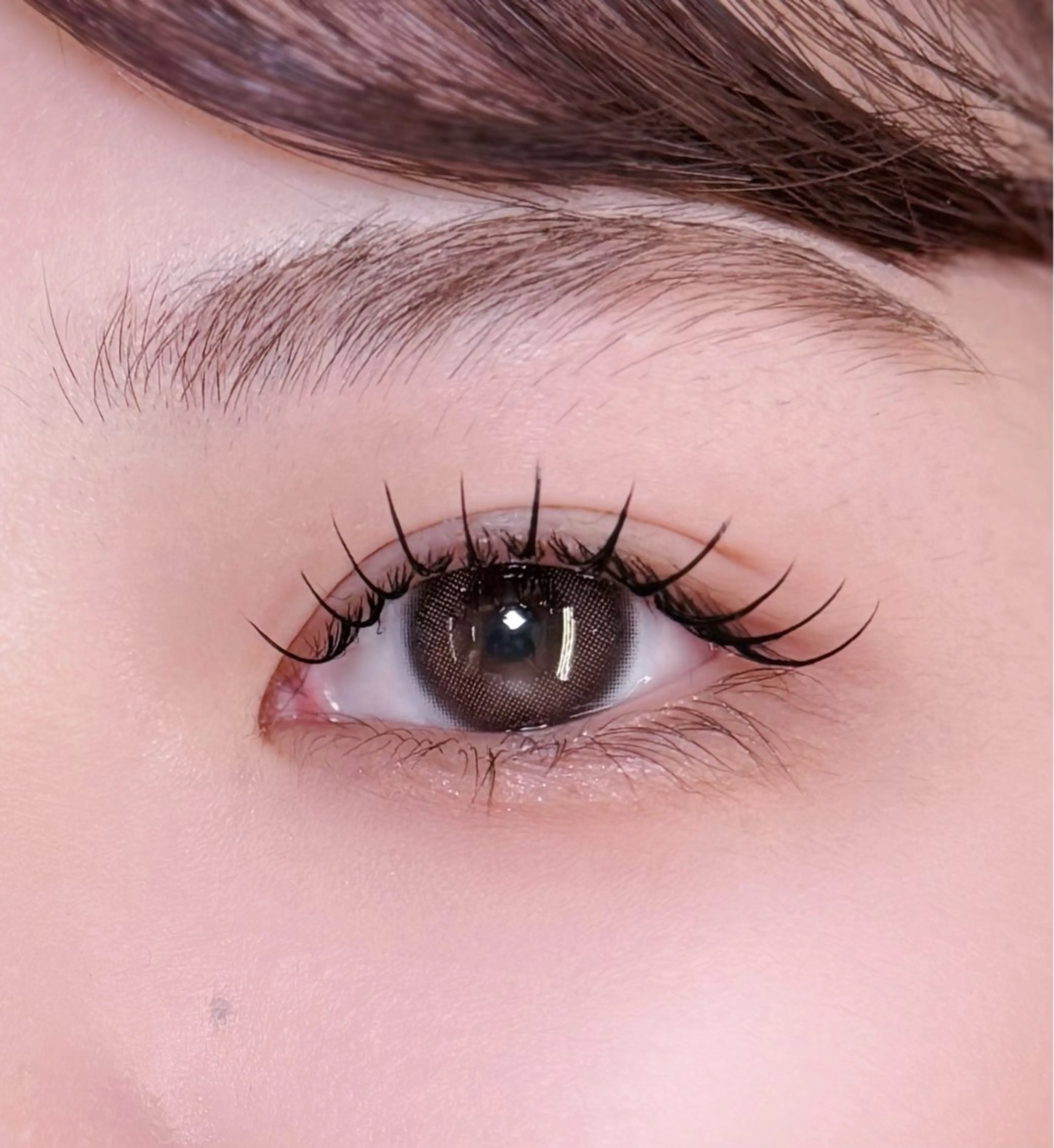 マツエク・マツパ 束感まつ毛 Cカール ナチュラル 一重×まつ毛パーマ マツエク 梅津/cherien 渋谷・明治神宮前のマツエク・マツパデザイン