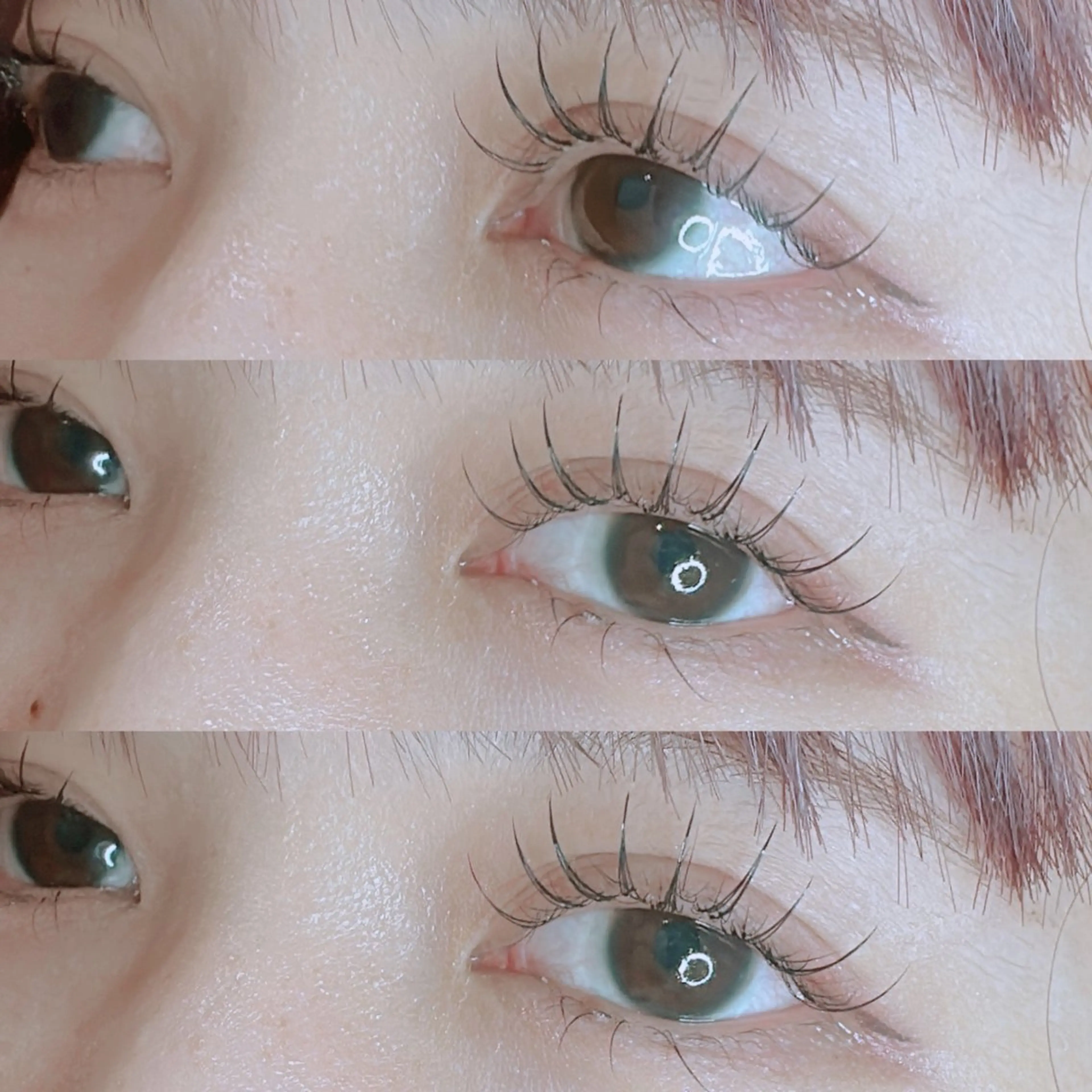 ⸝⋆⸝⋆‪LEDﾊﾟﾘｴｸ60本🧼アイシャンプー＆束感コーティング仕上げ付きの写真