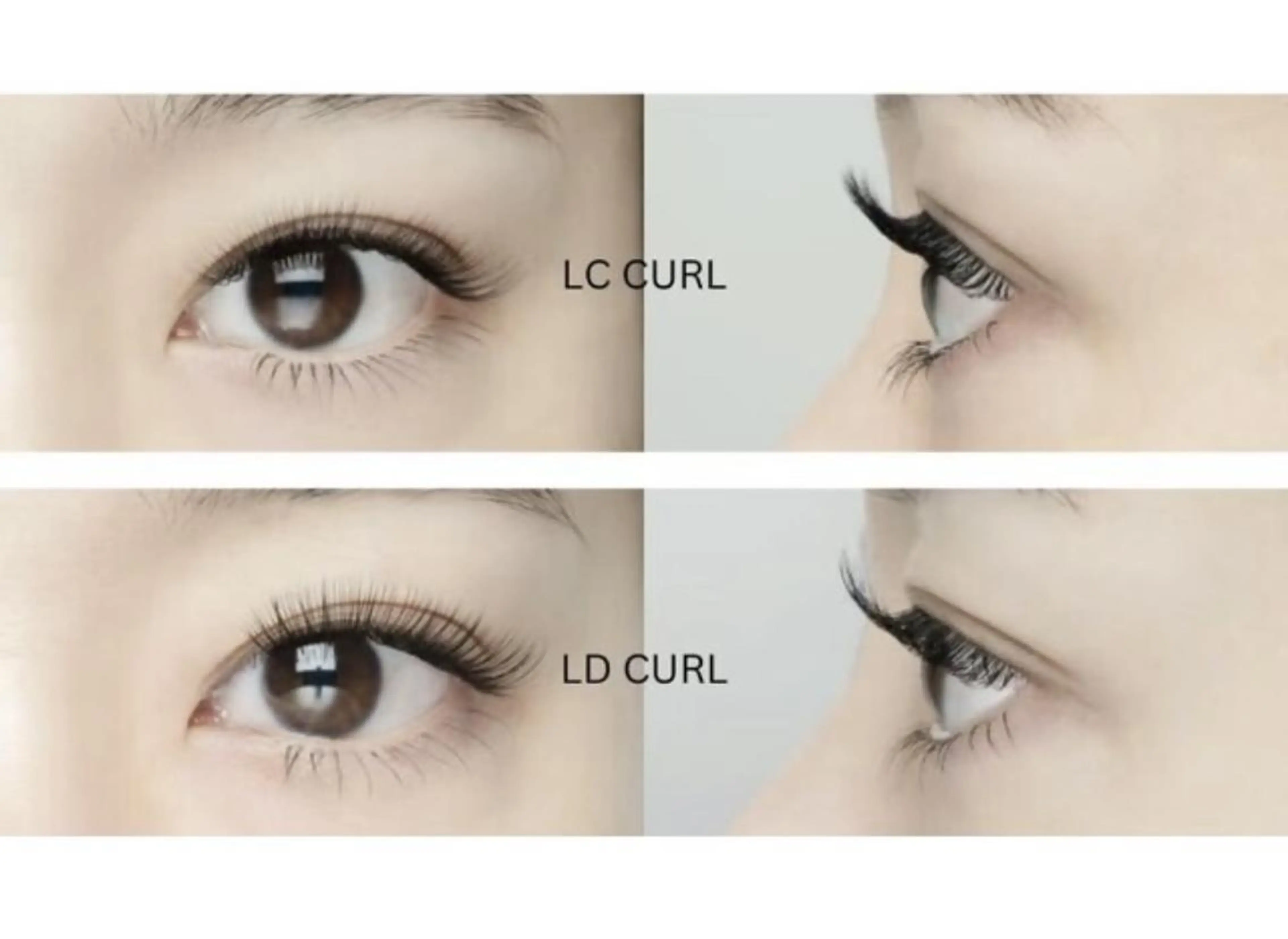 【パリエク風】Lカールフラットラッシュ100本【コーティング付き】の写真