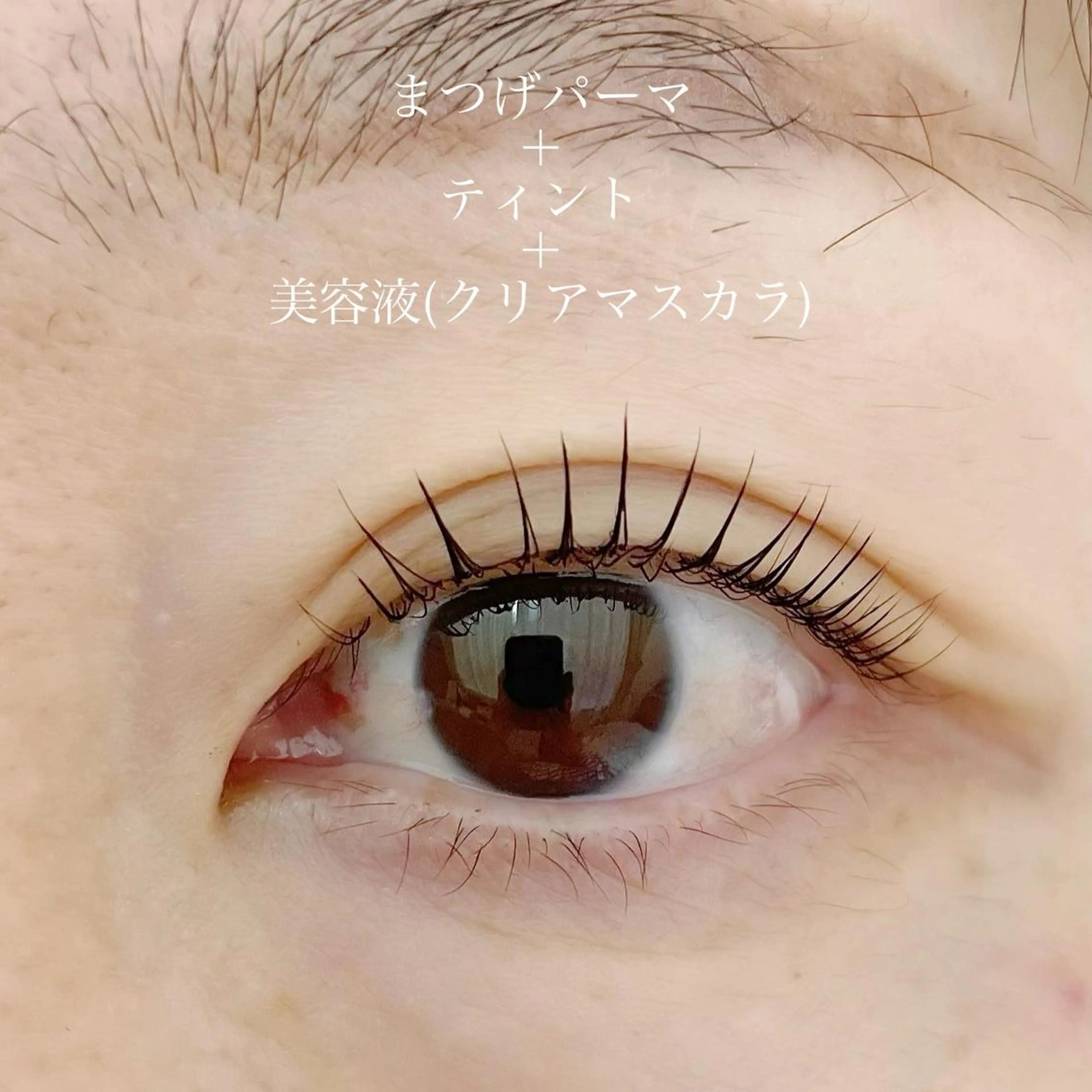 マツエク・マツパ まつげパーマ 堀田 あゆみ （アイリスト）のマツエク・マツパデザイン