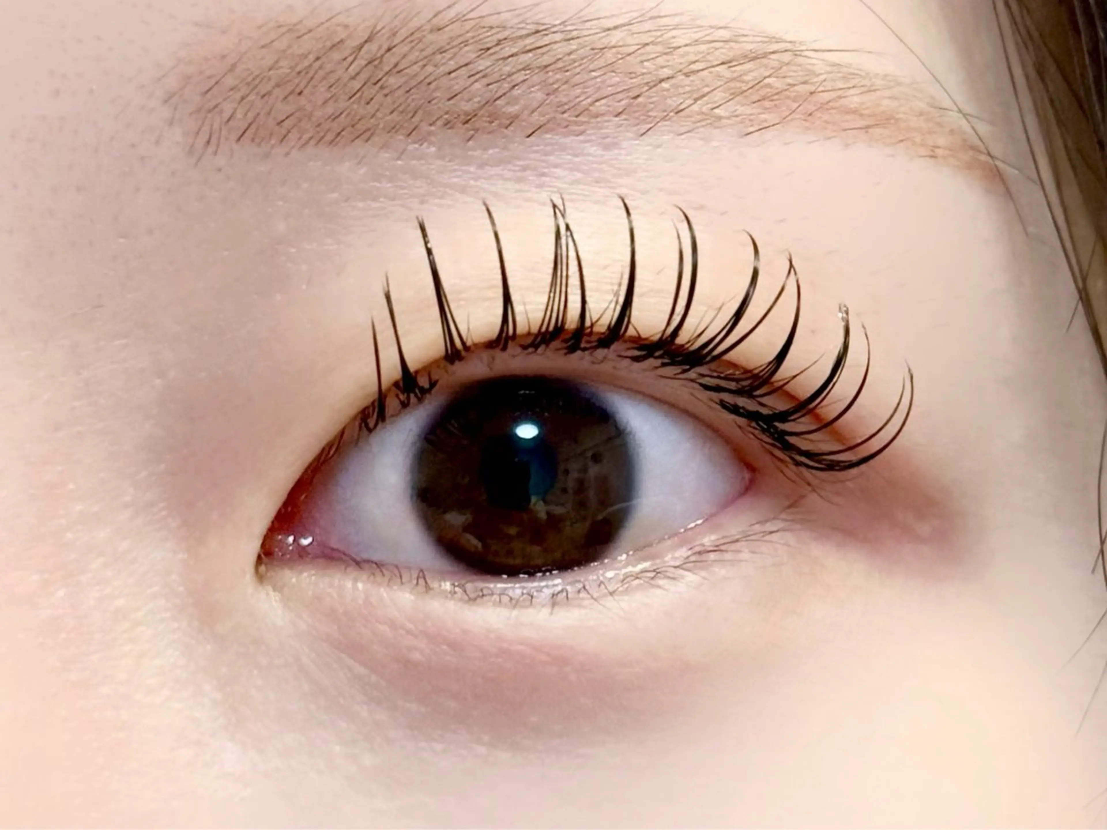 マツエク・マツパ Leola ERIKAのマツエク・マツパデザイン