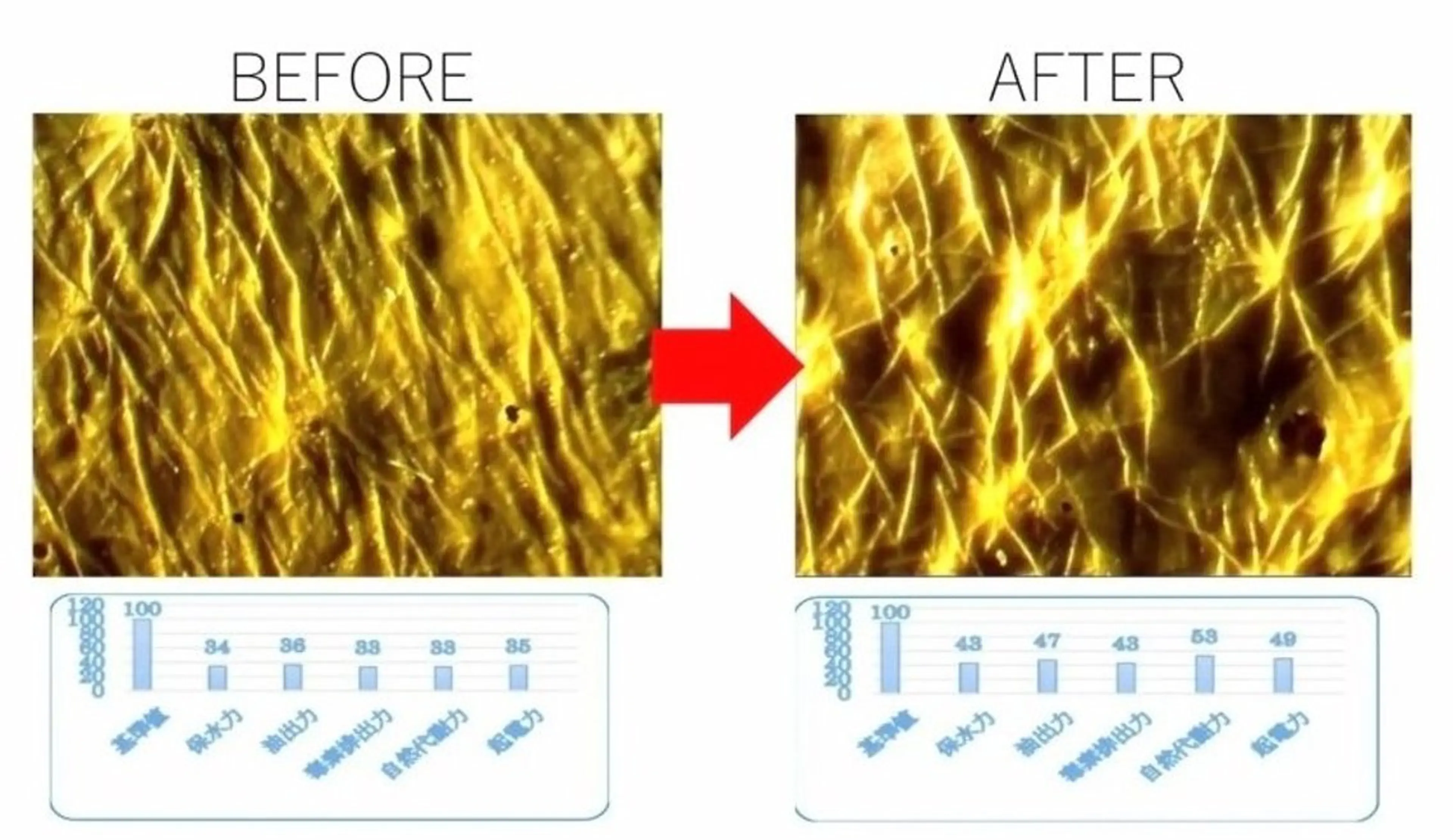 肌質改善専門サロン 川島 彩のエステ・リラクイメージ